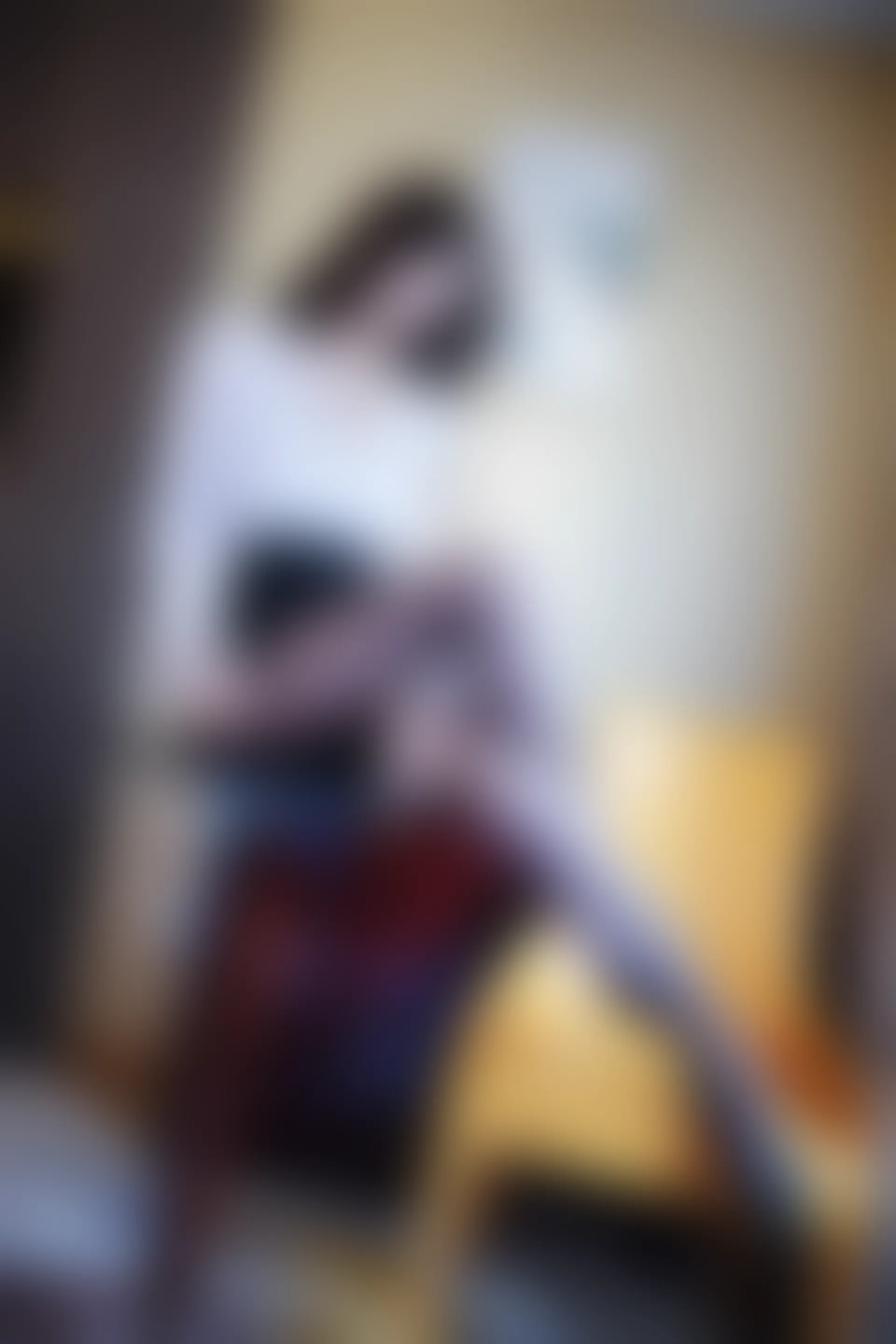 XIUREN秀人网 2020.01.15 NO.1933 伊思思[50+1P／212M]