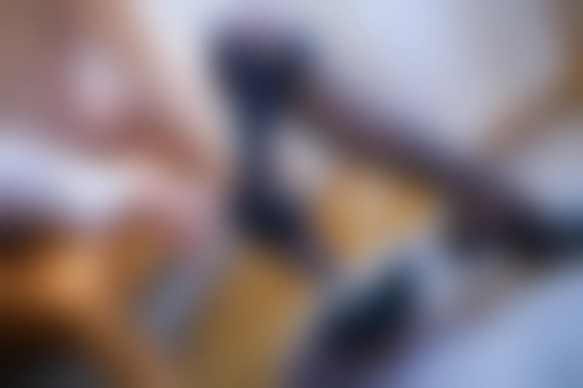 XIUREN秀人网 2020.01.15 NO.1933 伊思思[50+1P／212M]