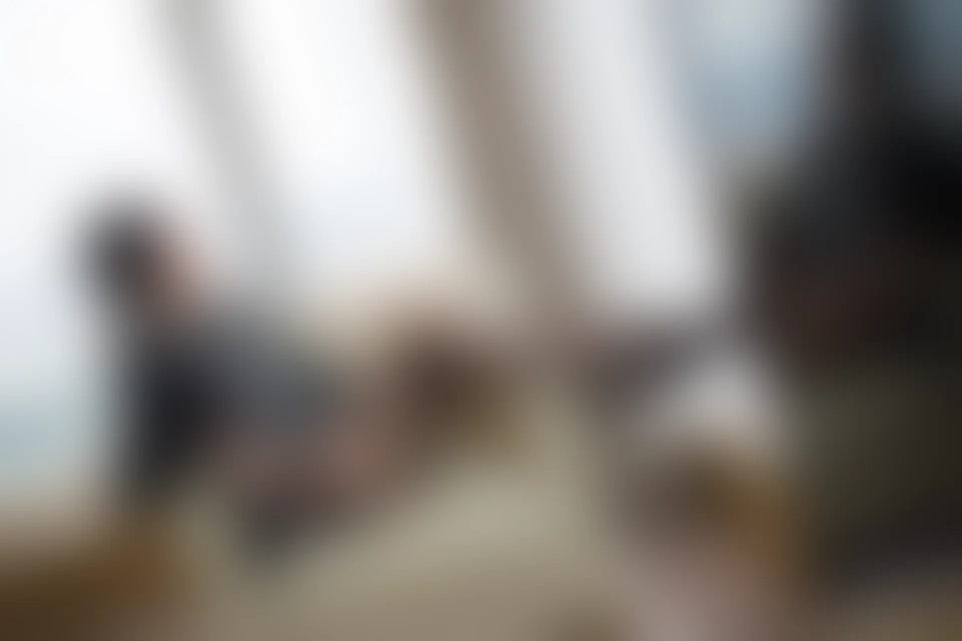 XiuRen秀人网 2017.12.14 No.871 小狐狸Sica[48+1P123M]