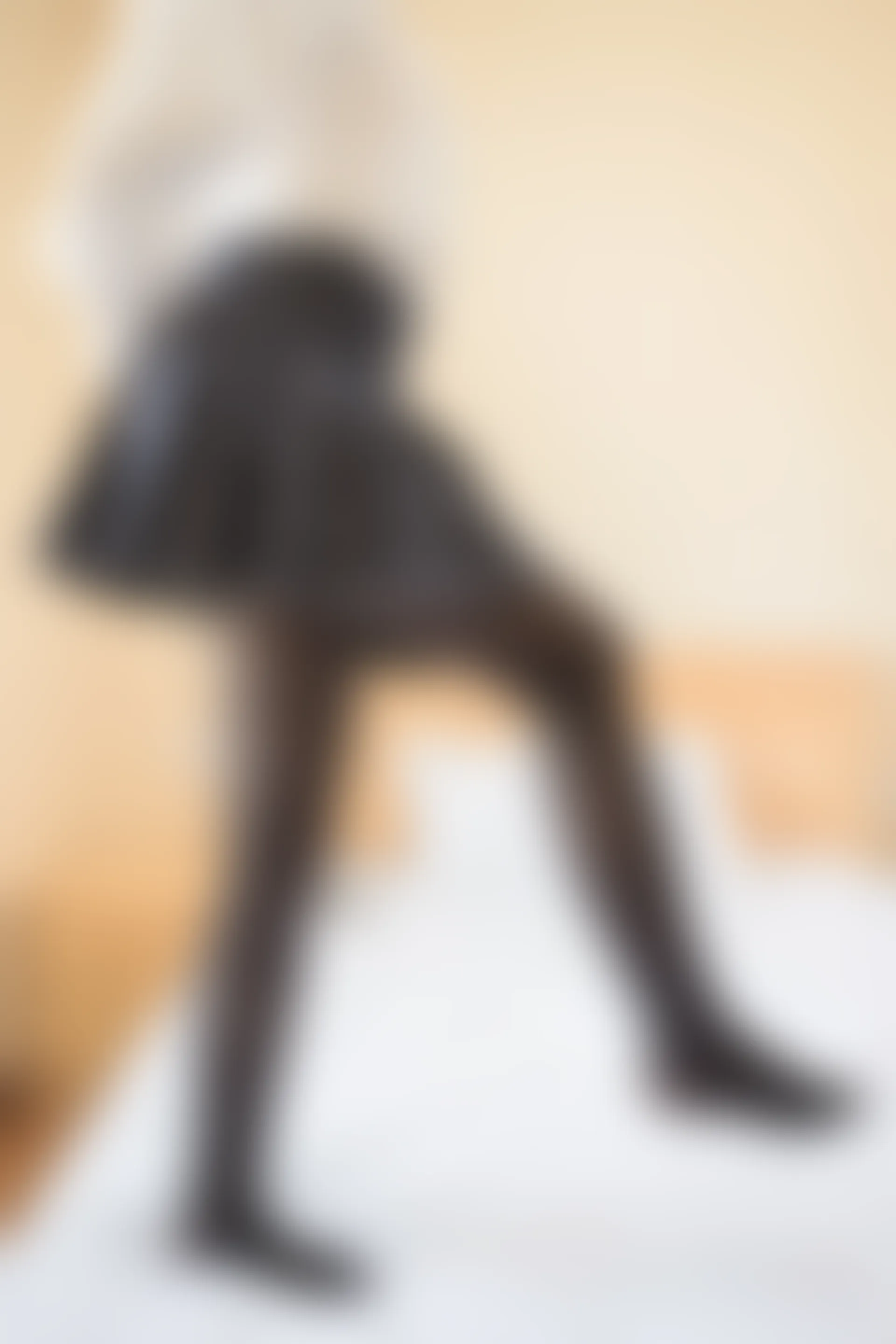 轻兰映画 VOL.019 [109P-210M]美腿, 轻兰映画, 黑丝