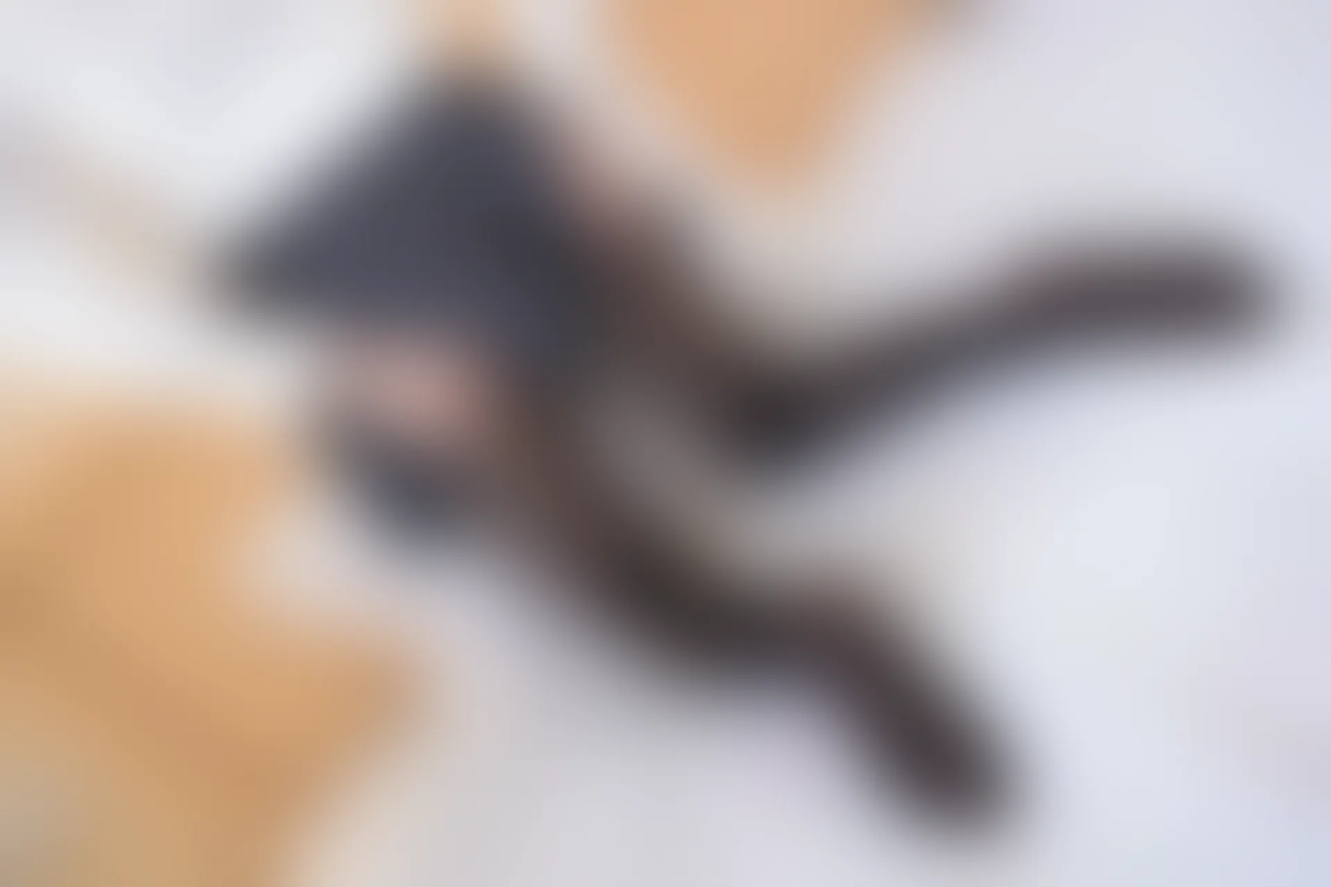 轻兰映画 VOL.019 [109P-210M]美腿, 轻兰映画, 黑丝