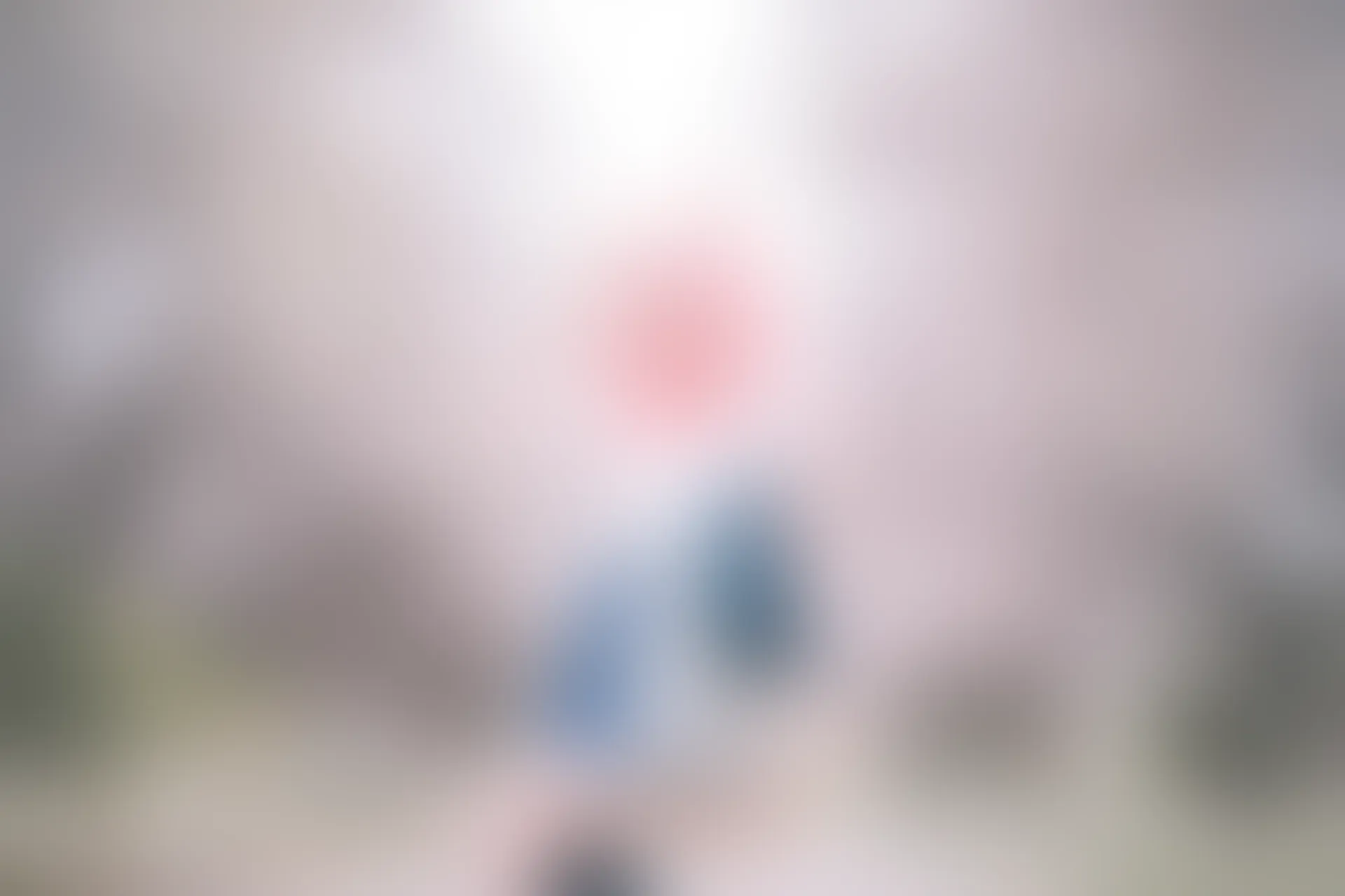 C09.006 玉藻前双姐妹 [41P-674MB]