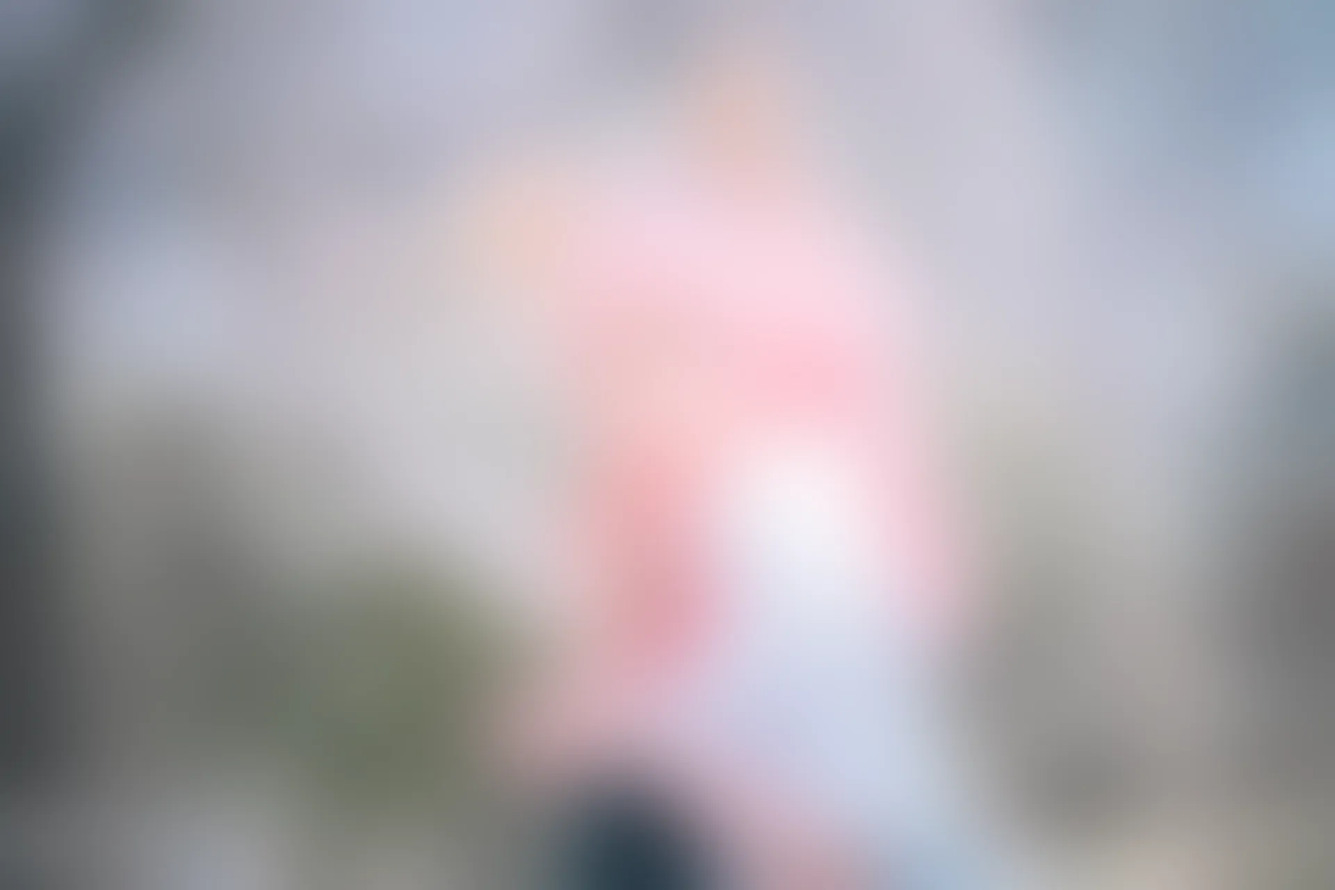 C09.006 玉藻前双姐妹 [41P-674MB]