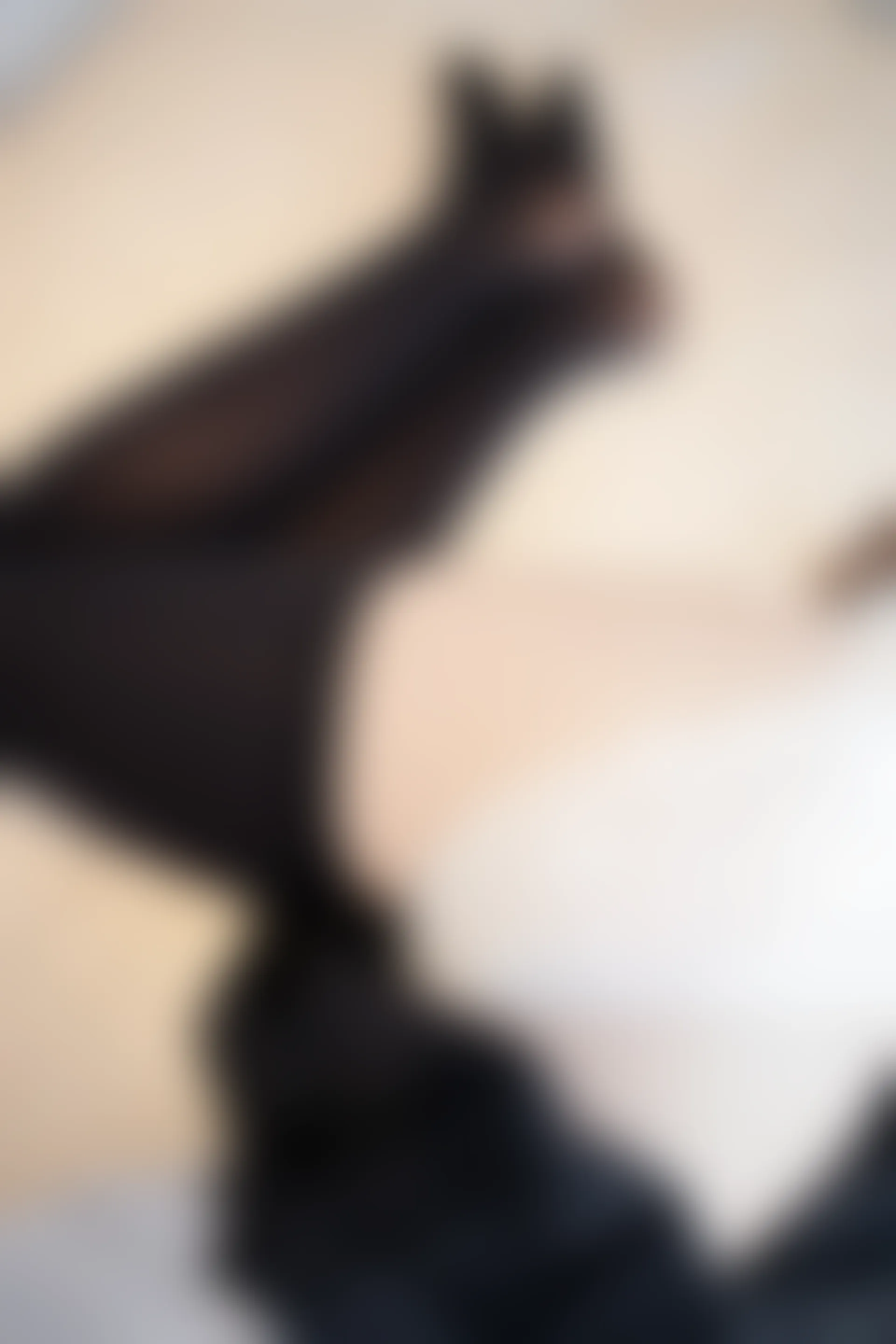 爱花写真 ALPHA-021 [117P-1.18G]森萝财团, 爱花写真, 美腿, 美足, 蕾丝, 黑丝