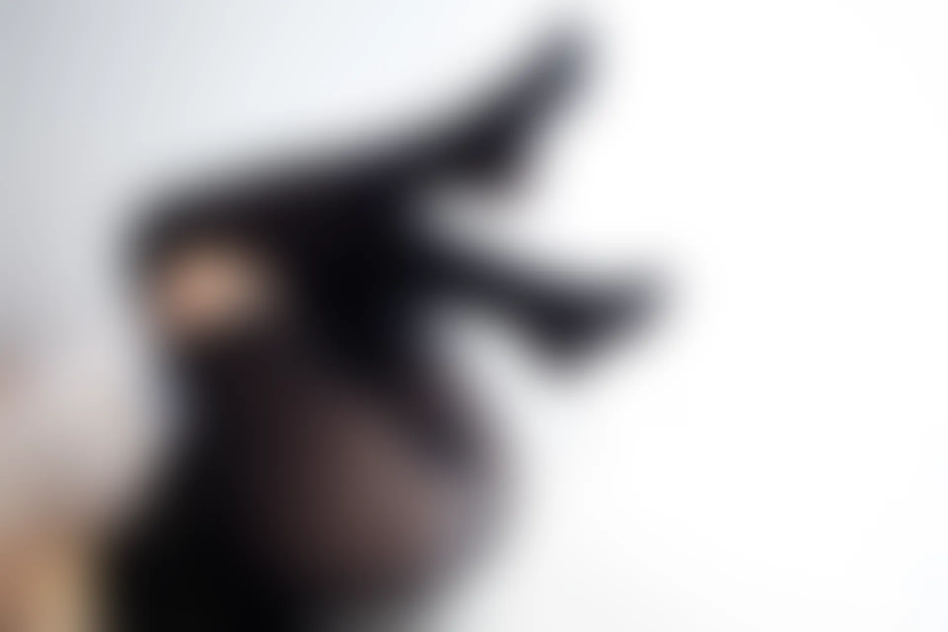 爱花写真 ALPHA-021 [117P-1.18G]森萝财团, 爱花写真, 美腿, 美足, 蕾丝, 黑丝