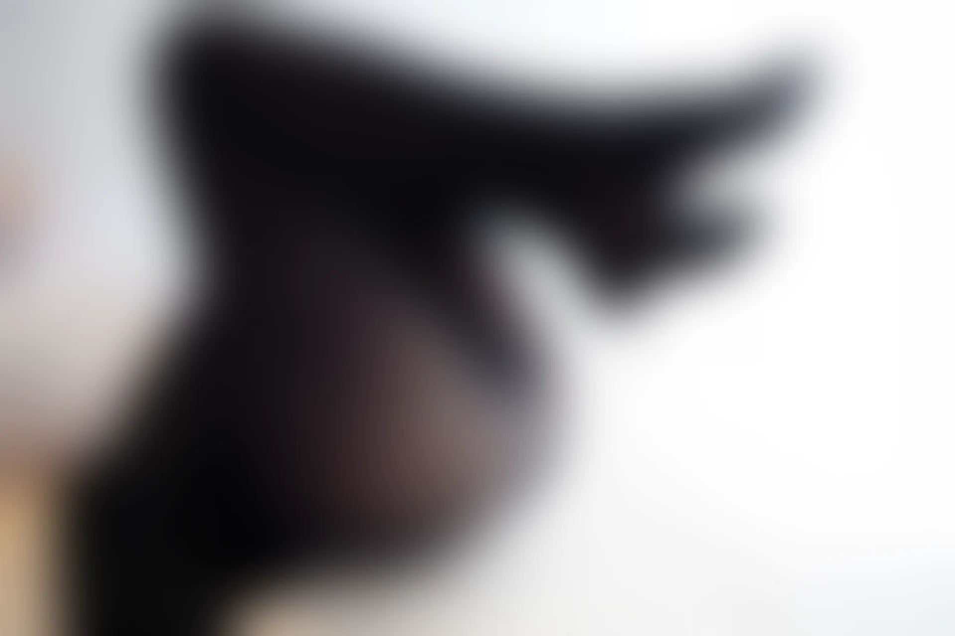 爱花写真 ALPHA-021 [117P-1.18G]森萝财团, 爱花写真, 美腿, 美足, 蕾丝, 黑丝