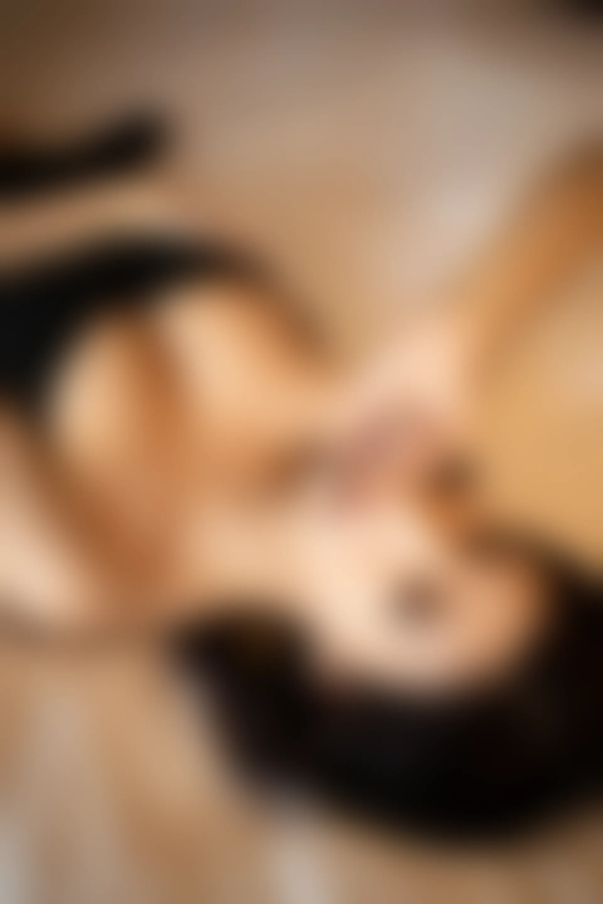 XiuRen秀人网 2020.04.08 No.2137 杨晨晨sugar [127+1P670M]