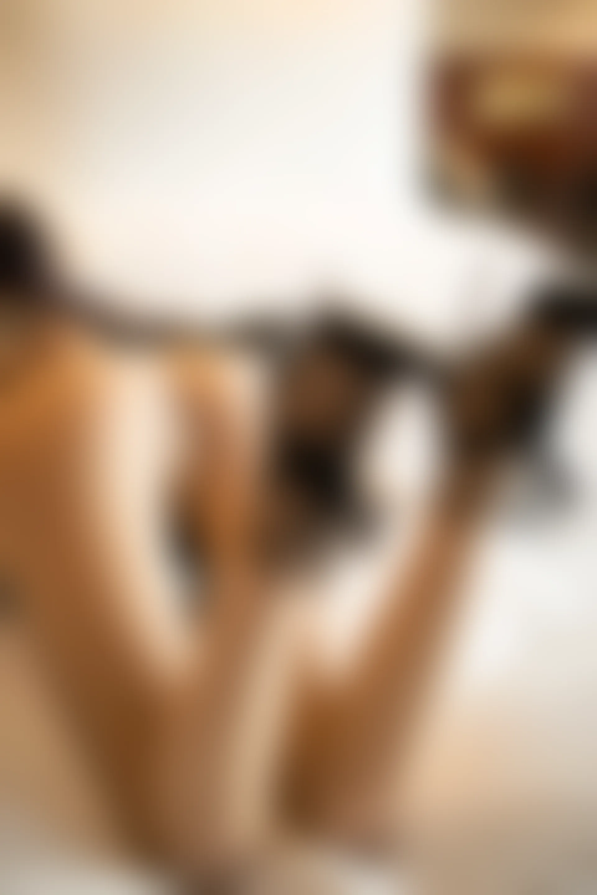 XiuRen秀人网 2020.04.08 No.2137 杨晨晨sugar [127+1P670M]