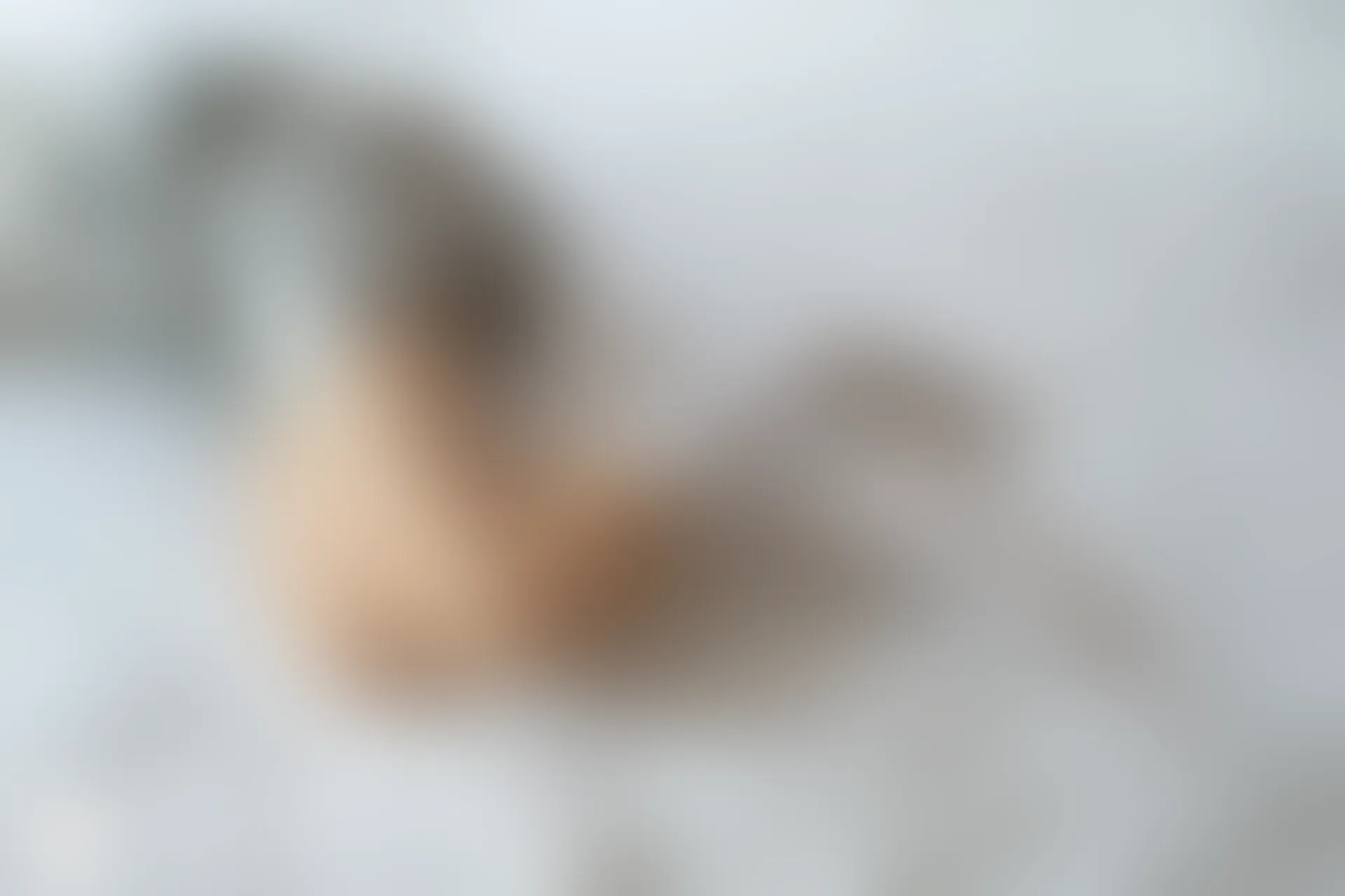 C39.005 青梅绿茶 [40P-78MB]