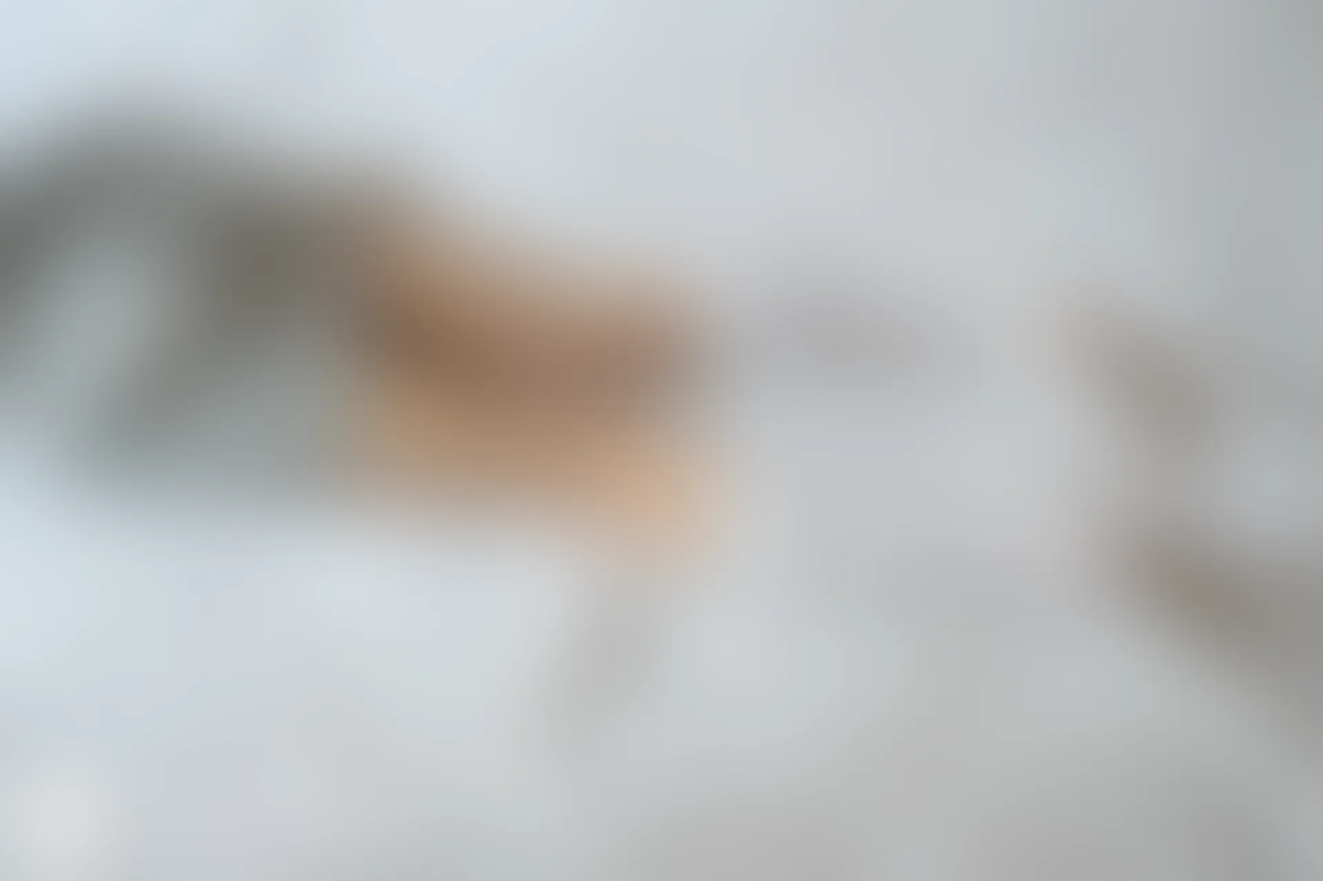 C39.005 青梅绿茶 [40P-78MB]