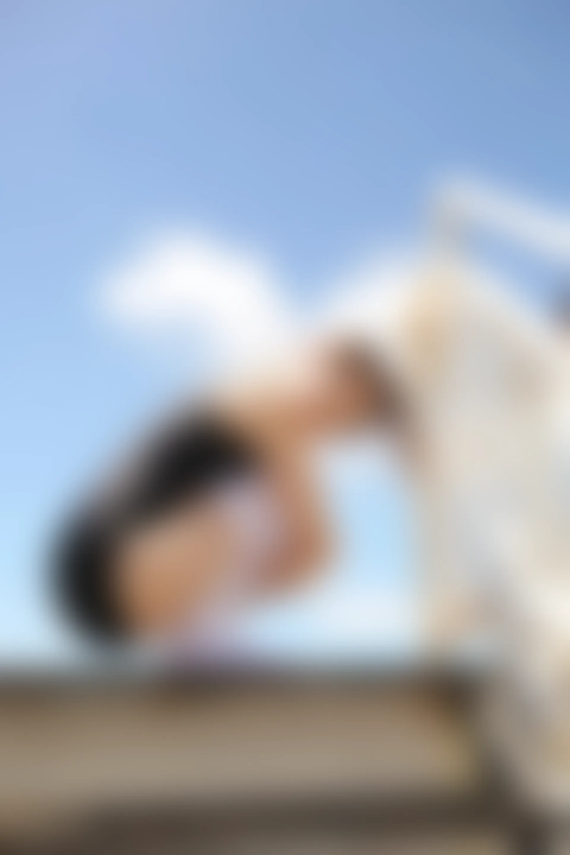 XiuRen秀人网 2015.07.02 No.348 丽莉Lily[52+1P70M]