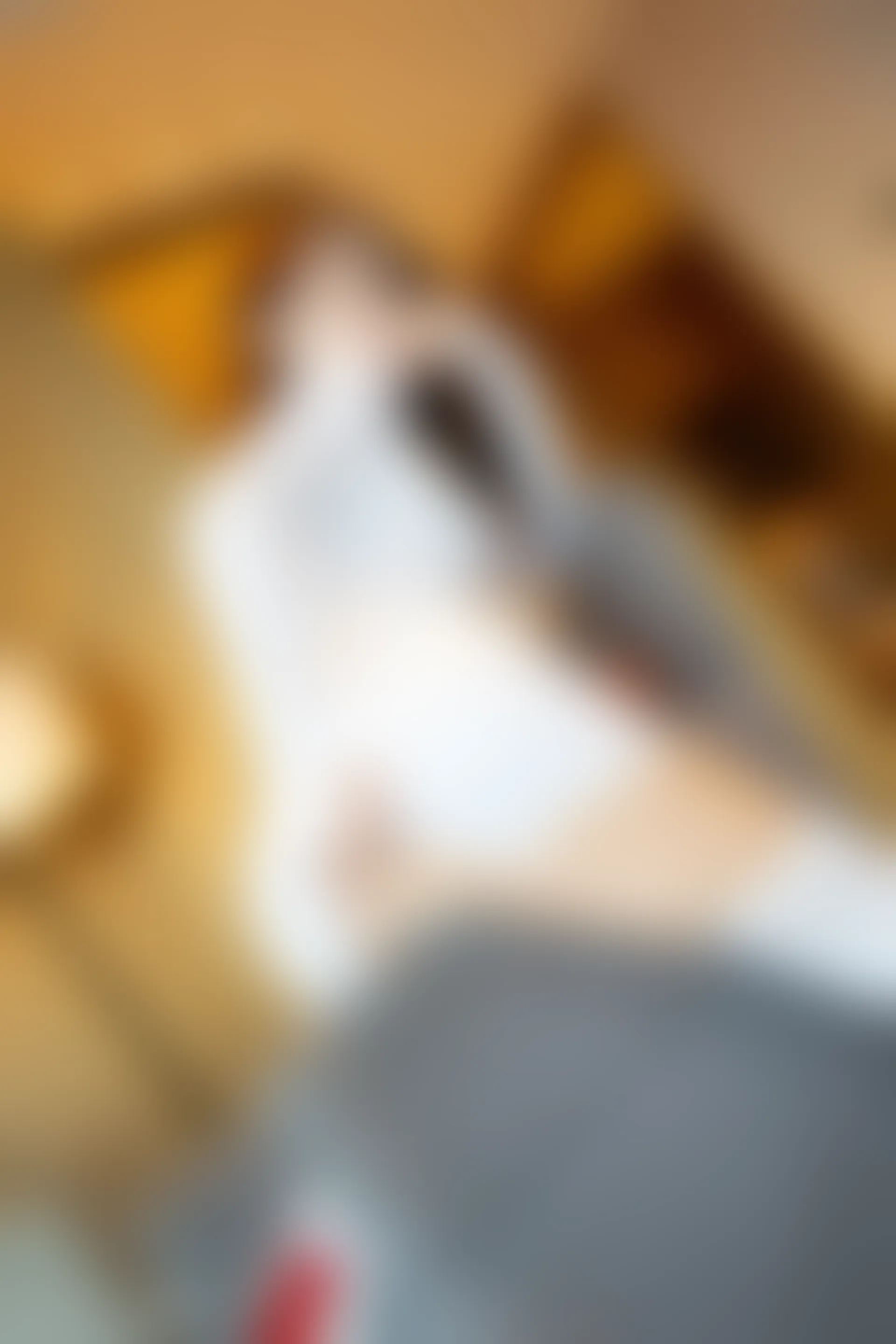 XiuRen秀人网 2021.10.15 No.4071 周慕汐baby 吊袜美腿[112+1P／1GB]