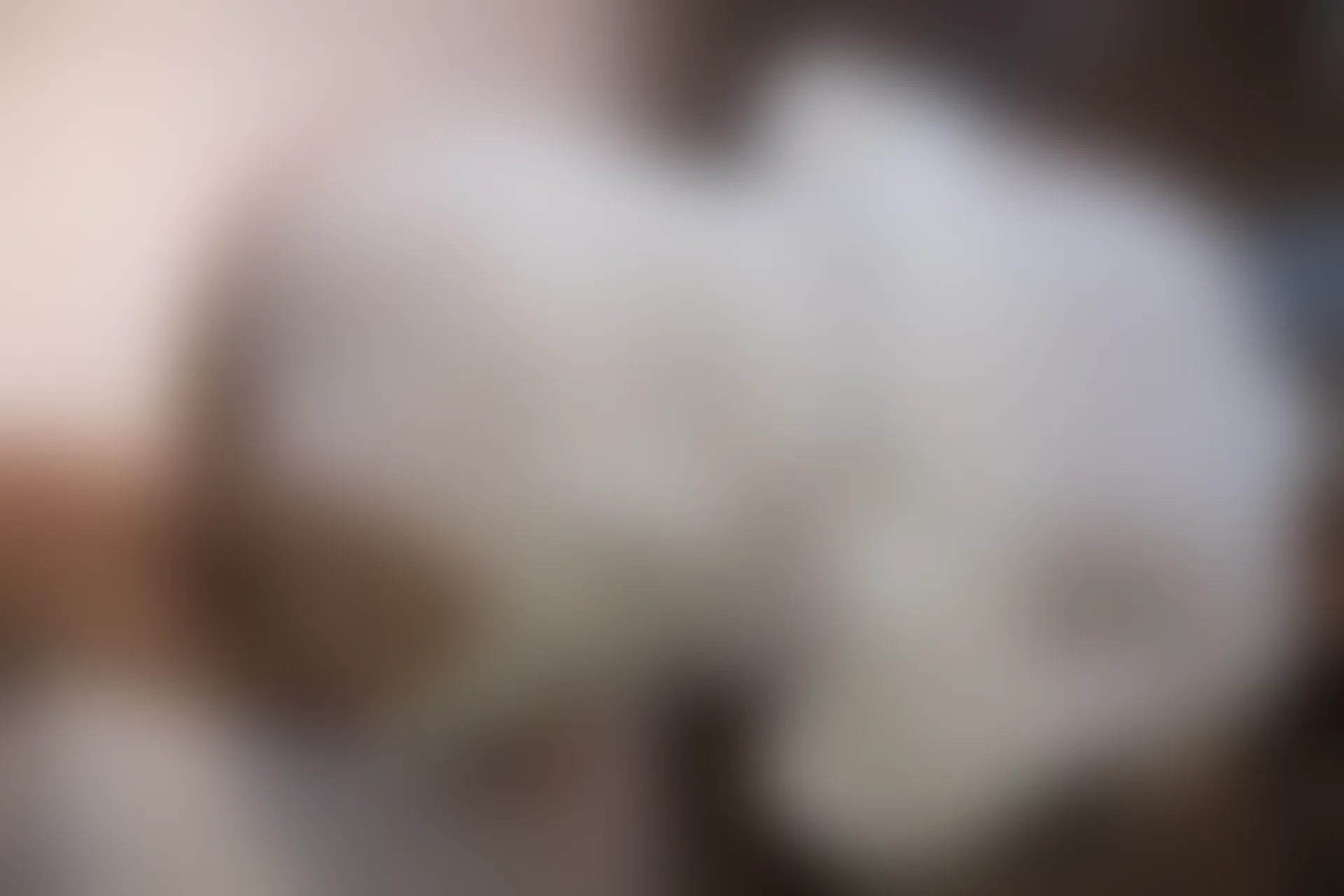 爱花写真 ALPHA-010 [149P-1.35G]森萝财团, 爱花写真, 美腿, 肉丝