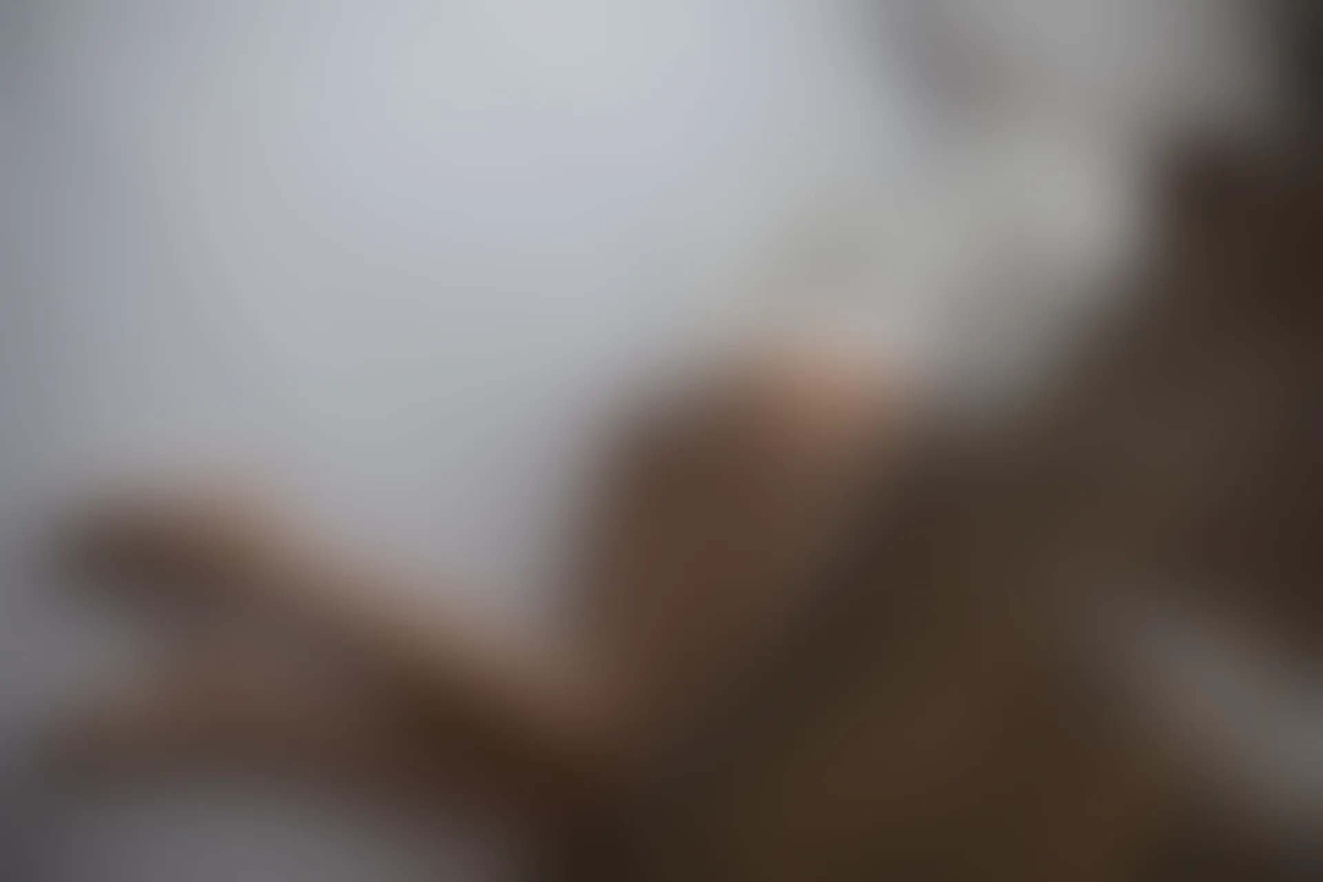 爱花写真 ALPHA-010 [149P-1.35G]森萝财团, 爱花写真, 美腿, 肉丝