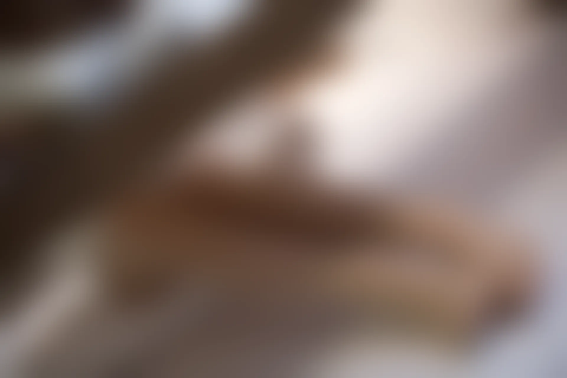 爱花写真 ALPHA-010 [149P-1.35G]森萝财团, 爱花写真, 美腿, 肉丝