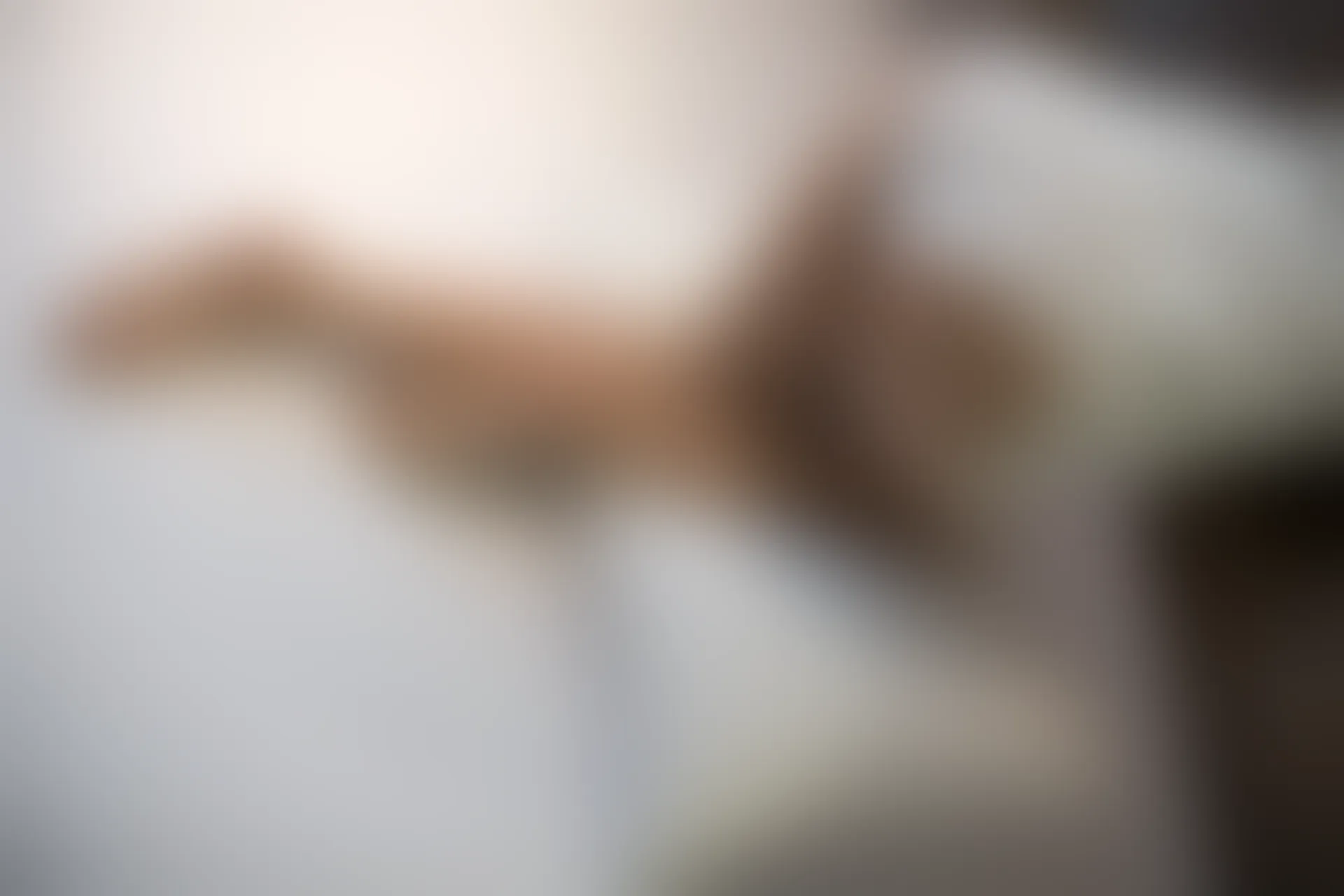 爱花写真 ALPHA-010 [149P-1.35G]森萝财团, 爱花写真, 美腿, 肉丝