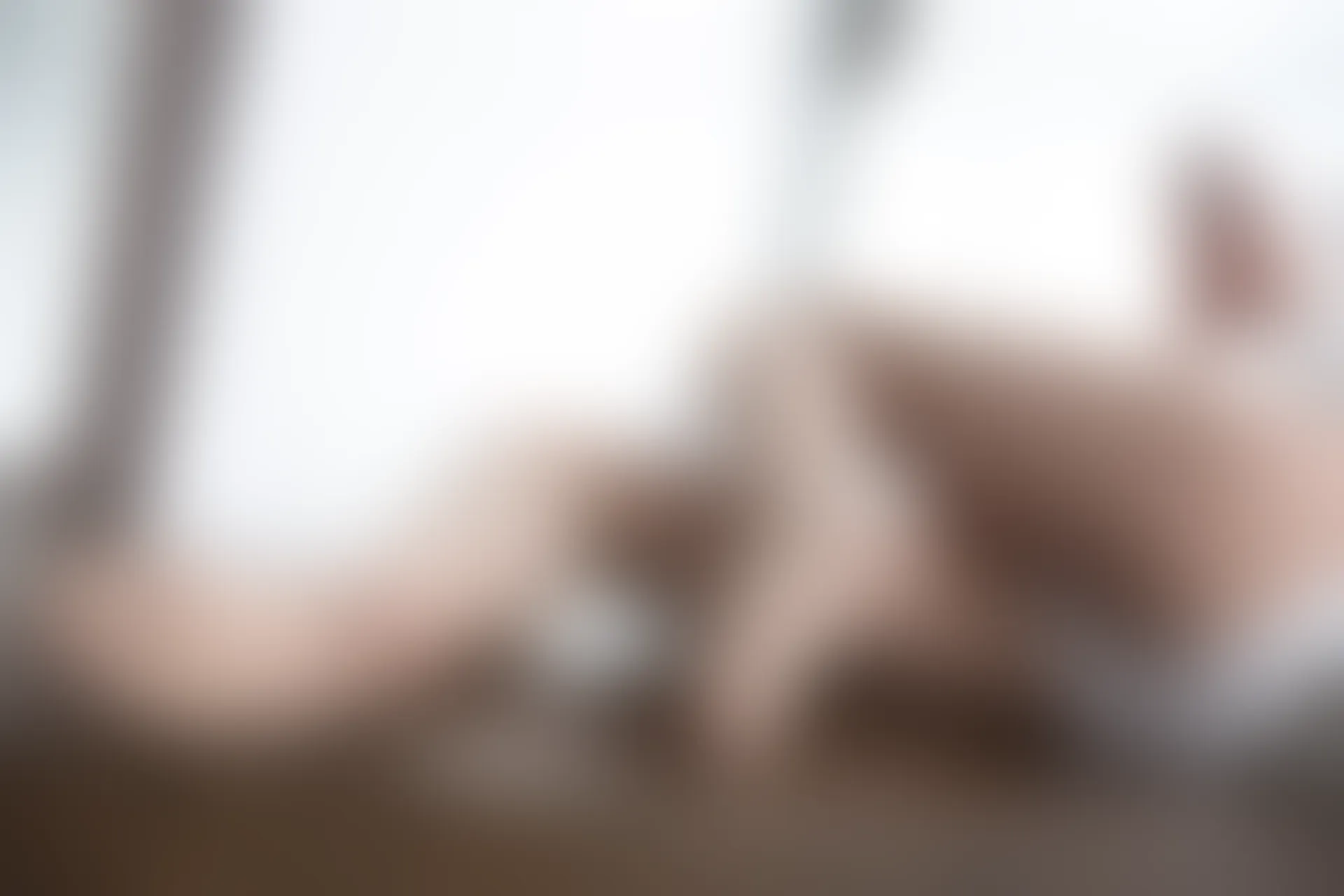 爱花写真 ALPHA-010 [149P-1.35G]森萝财团, 爱花写真, 美腿, 肉丝