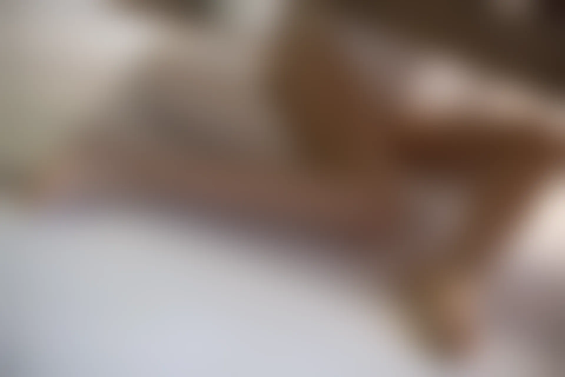 爱花写真 ALPHA-010 [149P-1.35G]森萝财团, 爱花写真, 美腿, 肉丝