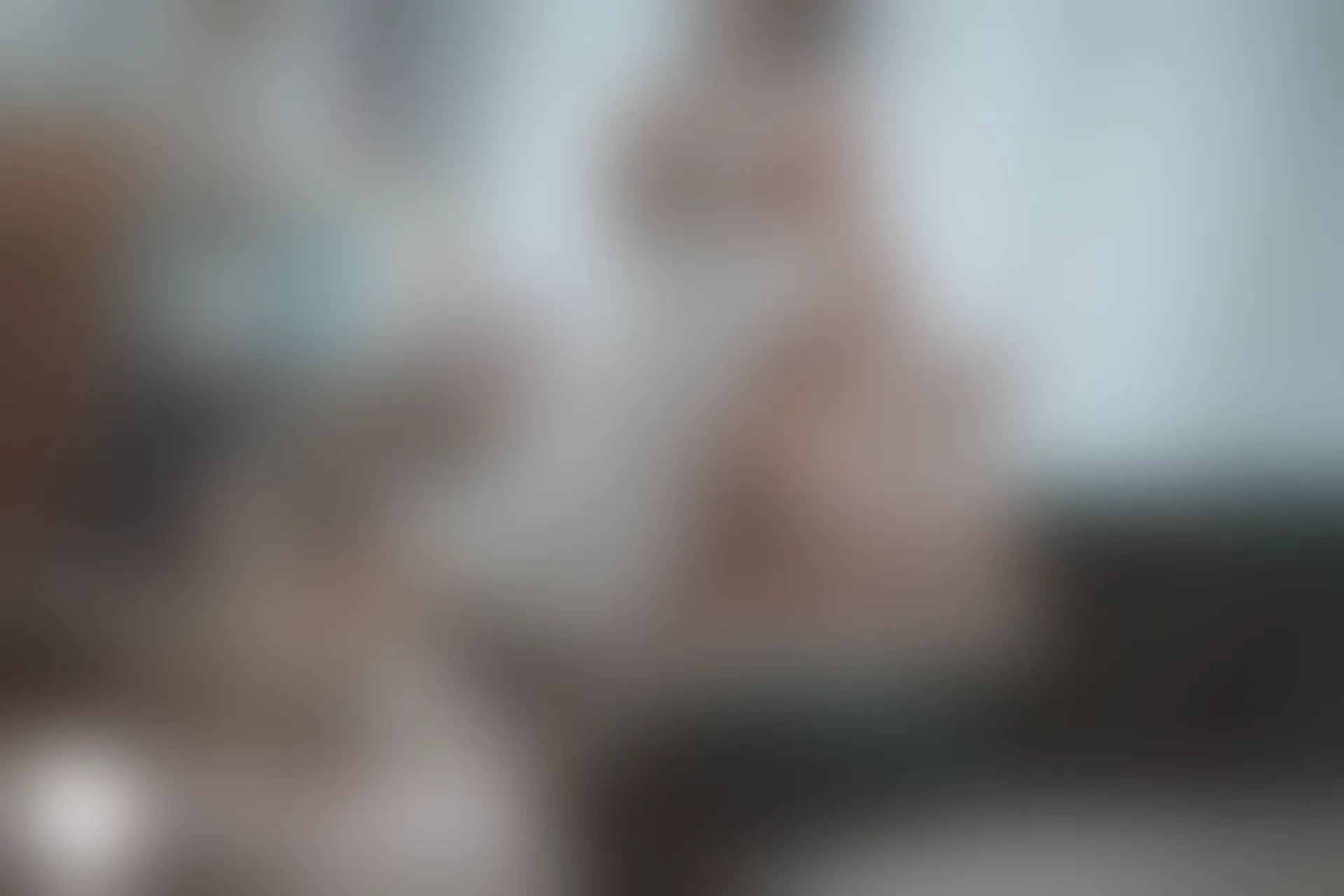 C38.003 猫耳透明女仆 [40P-462MB]