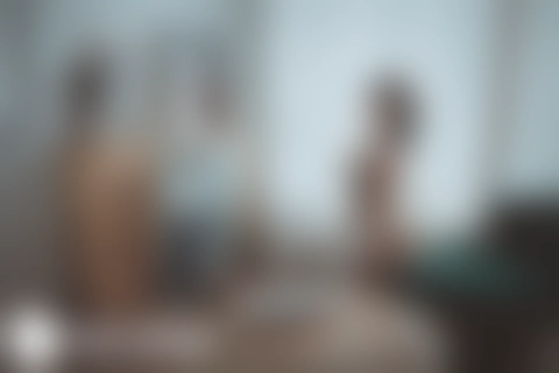 C38.003 猫耳透明女仆 [40P-462MB]