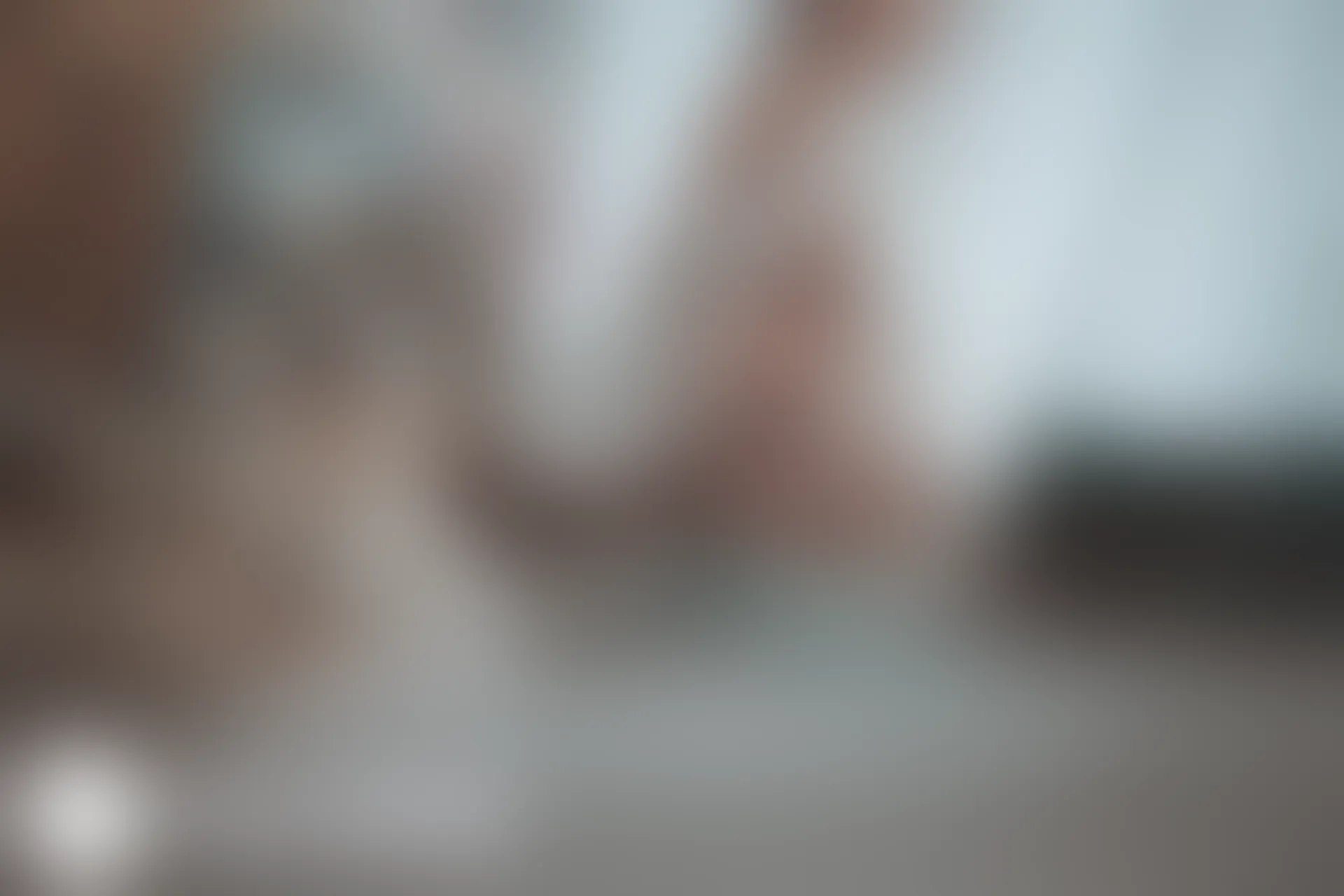 C38.003 猫耳透明女仆 [40P-462MB]