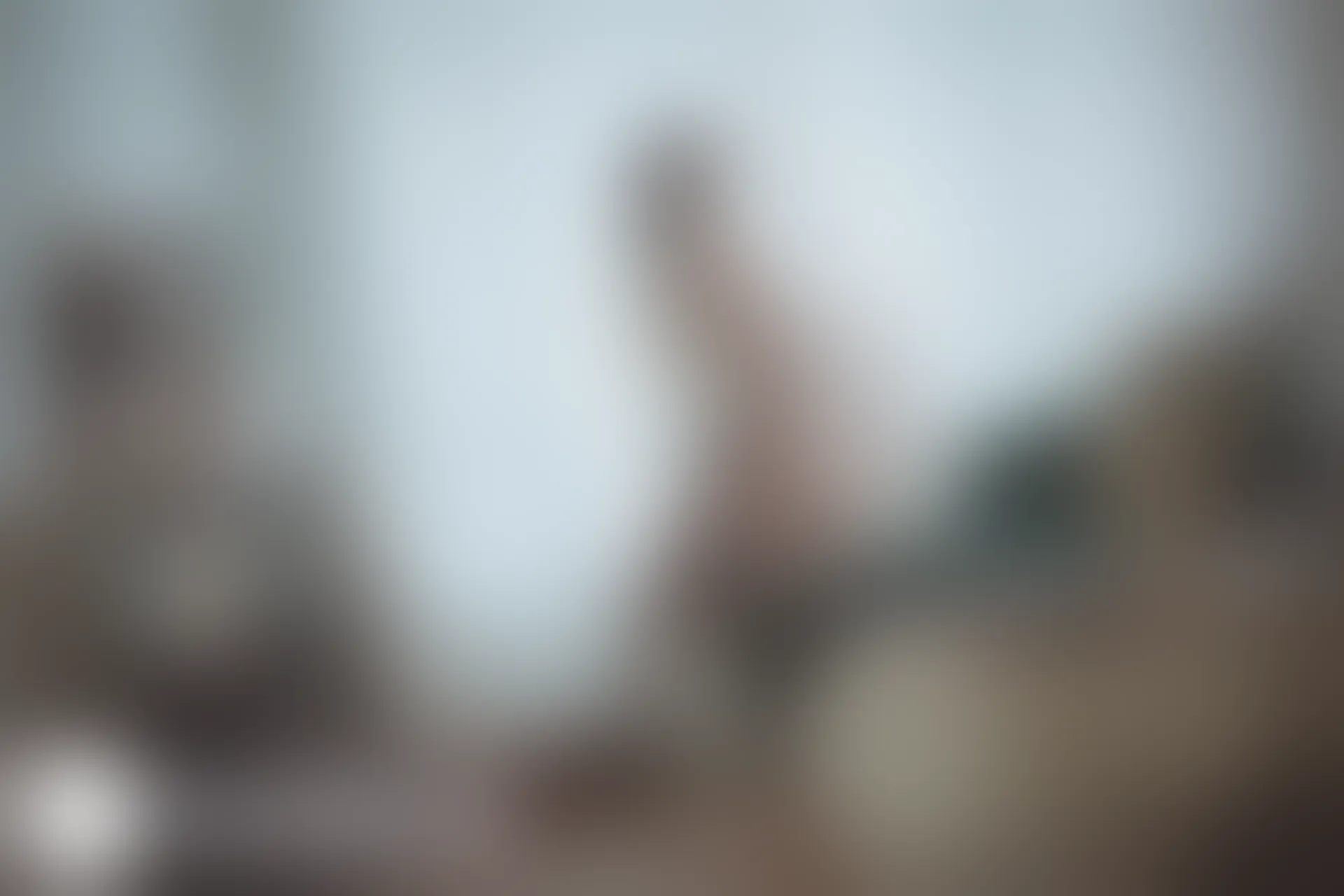 C38.003 猫耳透明女仆 [40P-462MB]