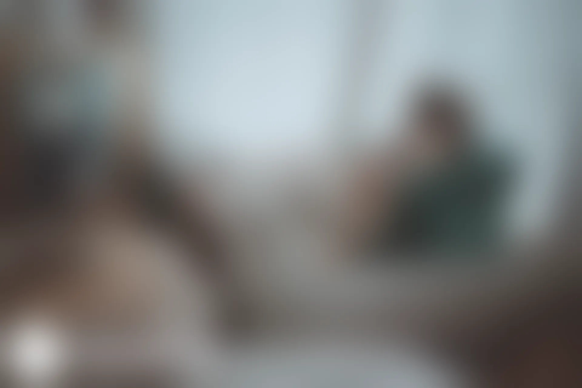 C38.003 猫耳透明女仆 [40P-462MB]