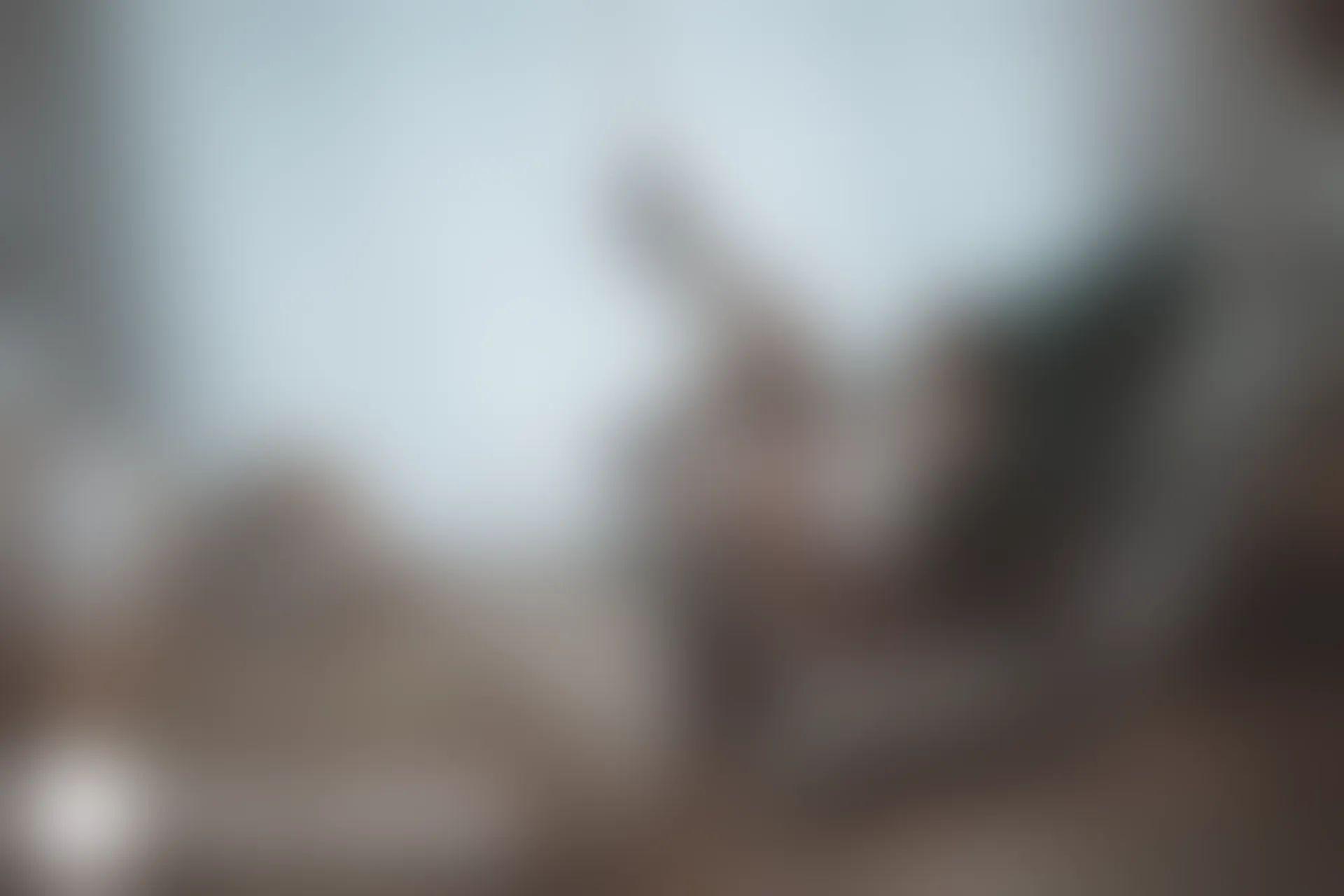 C38.003 猫耳透明女仆 [40P-462MB]