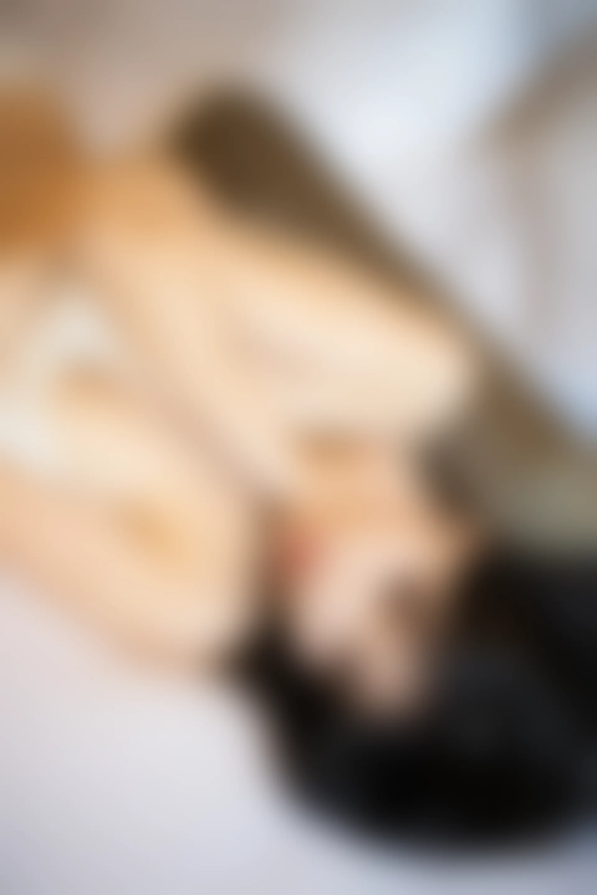 XiuRen秀人网 2019.10.22 No.1746 杨晨晨sugar