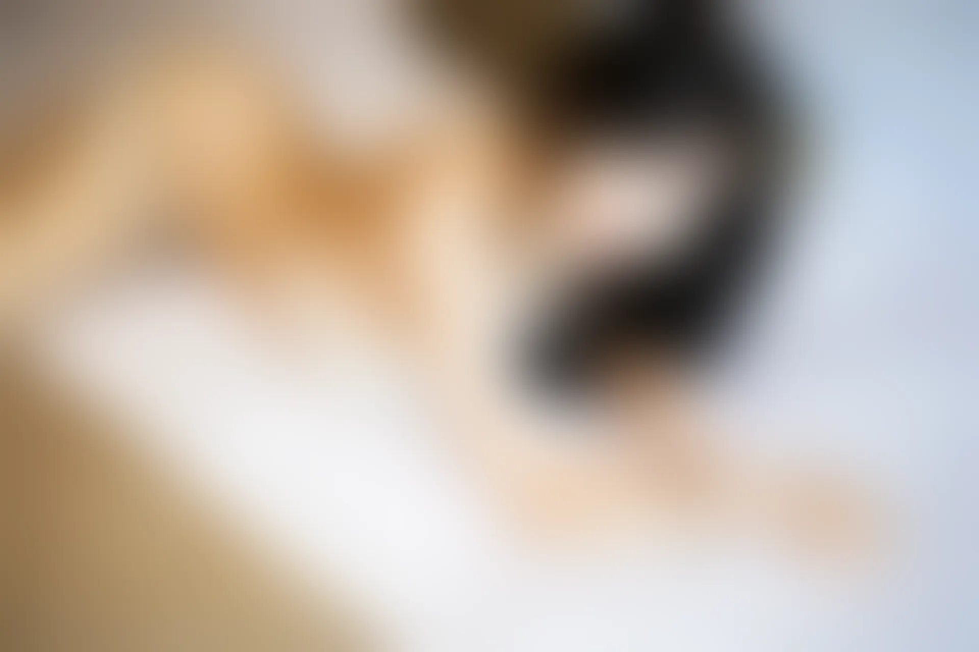 XiuRen秀人网 2019.10.22 No.1746 杨晨晨sugar