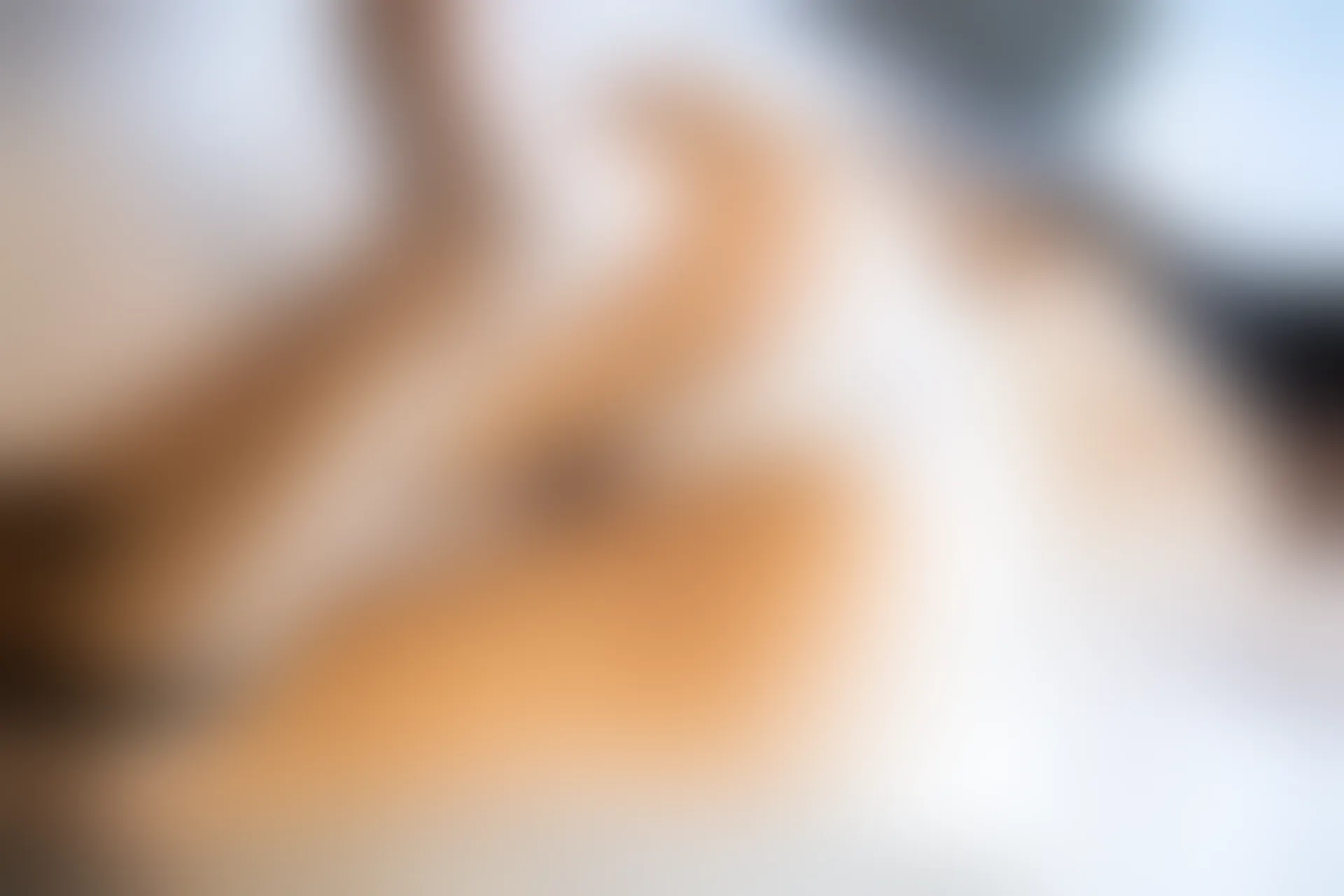 XiuRen秀人网 2019.10.22 No.1746 杨晨晨sugar