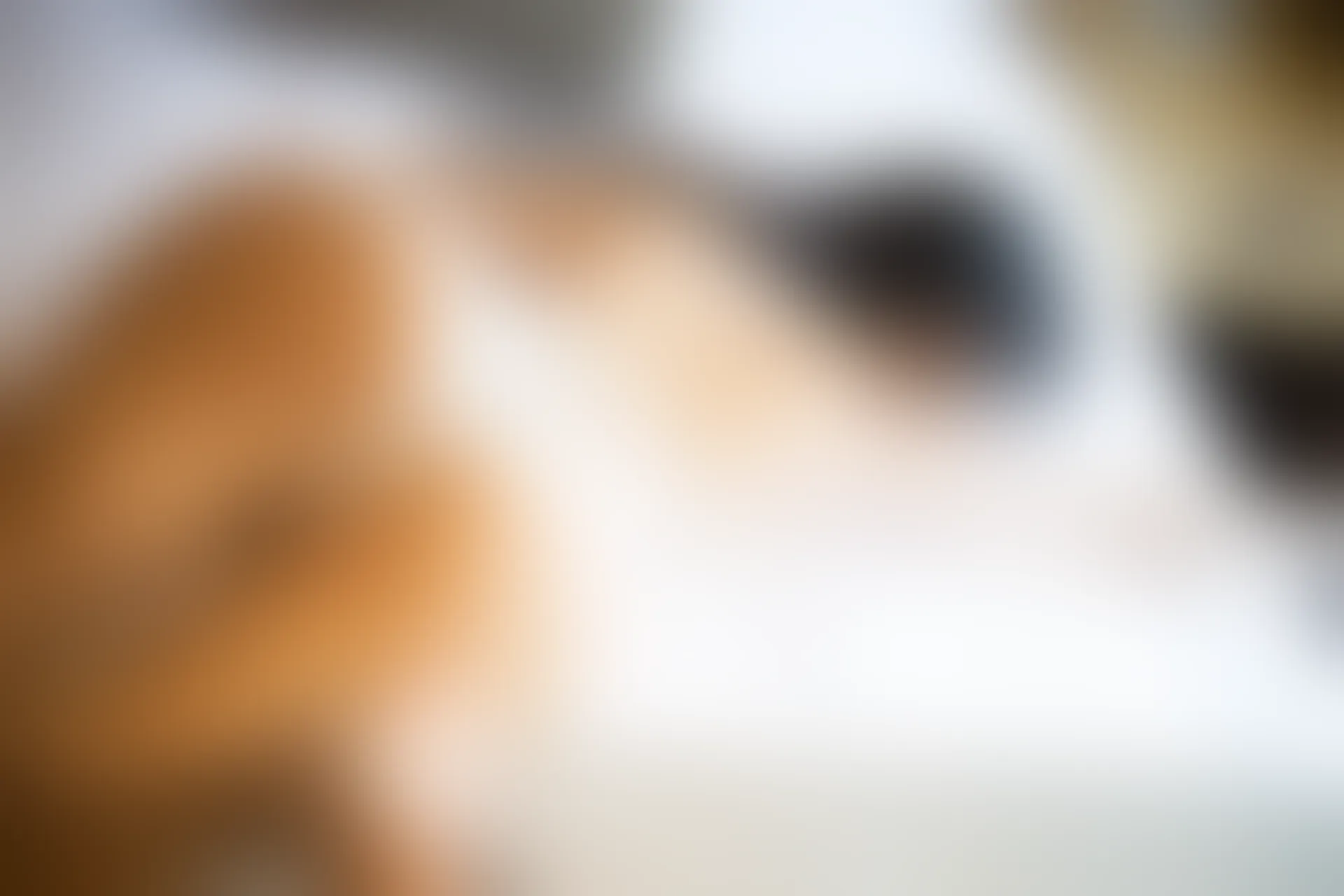 XiuRen秀人网 2019.10.22 No.1746 杨晨晨sugar