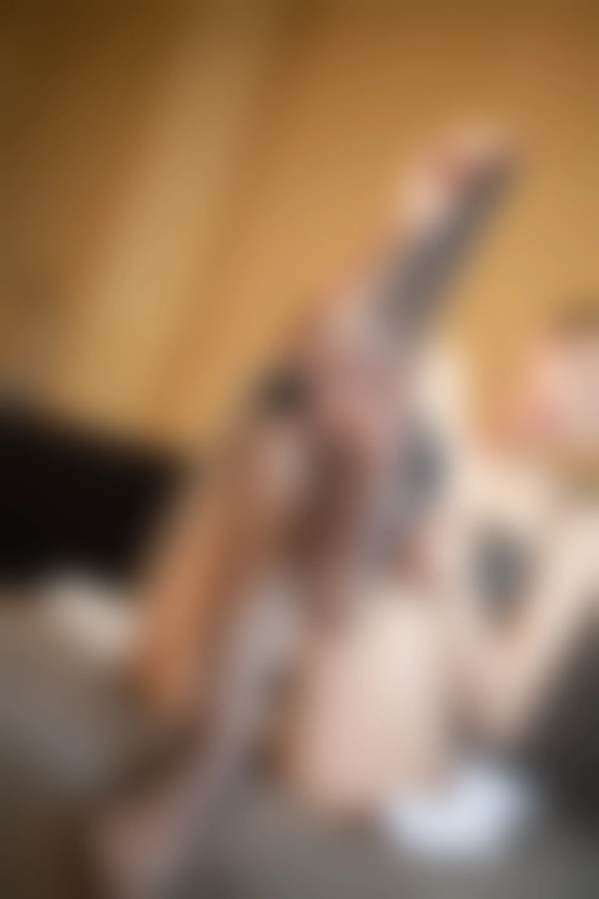 XiuRen秀人网 2020.05.12 No.2238 艺轩 黑丝 空姐