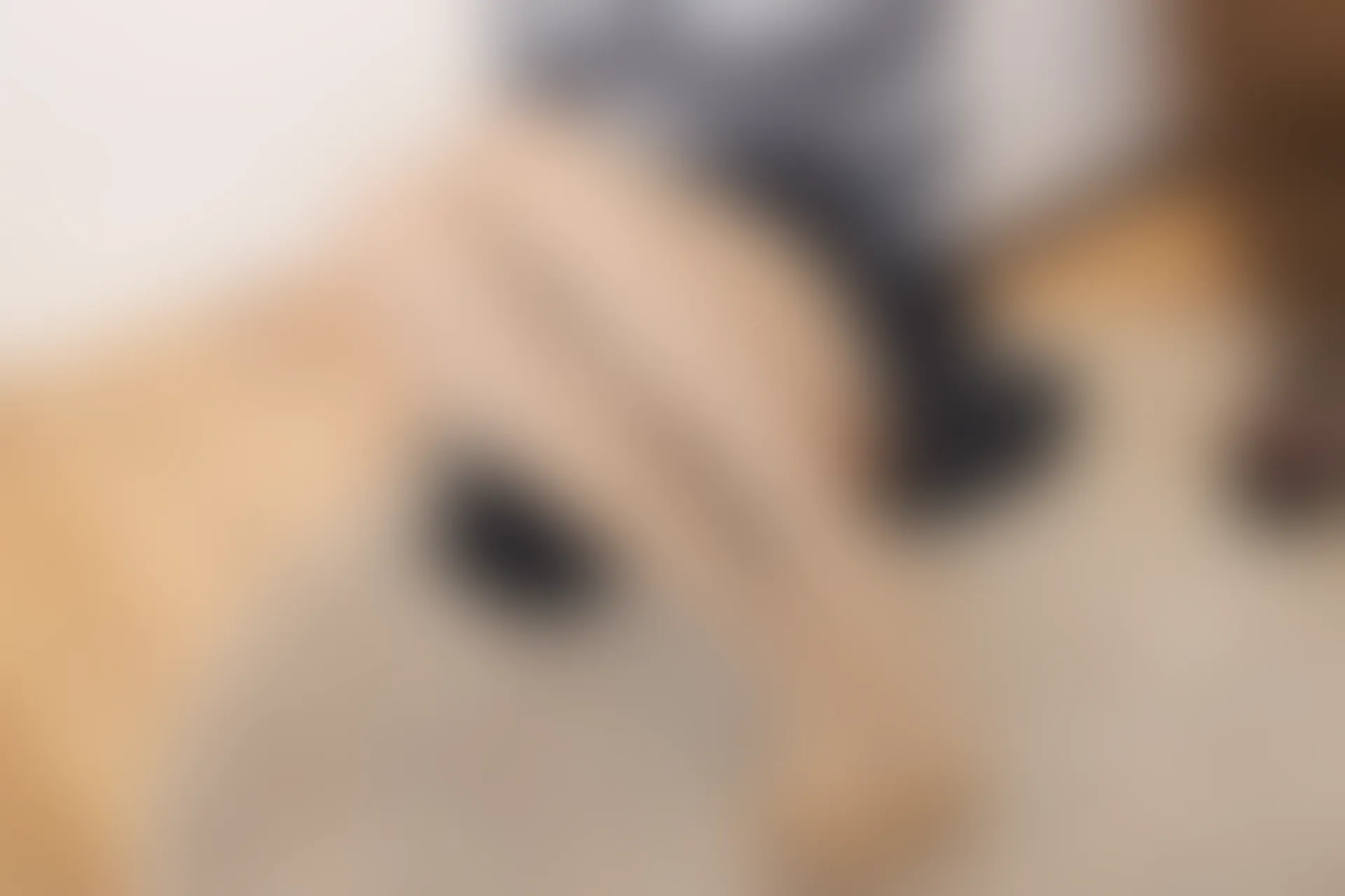 紧急企划 VOL.017 [79P1V-1.66G] 一只喵喵梓 肉丝和服一只喵喵梓, 和服, 森萝财团, 紧急企划, 美腿, 美足, 肉丝