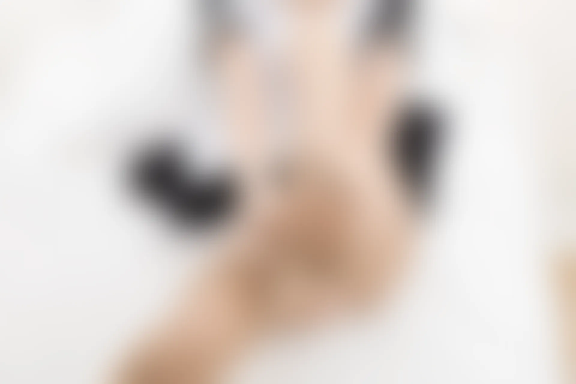 紧急企划 VOL.010 [82P1V-1.59G] 一只喵喵梓一只喵喵梓, 女仆, 女仆装, 紧急企划, 美腿, 美足, 肉丝