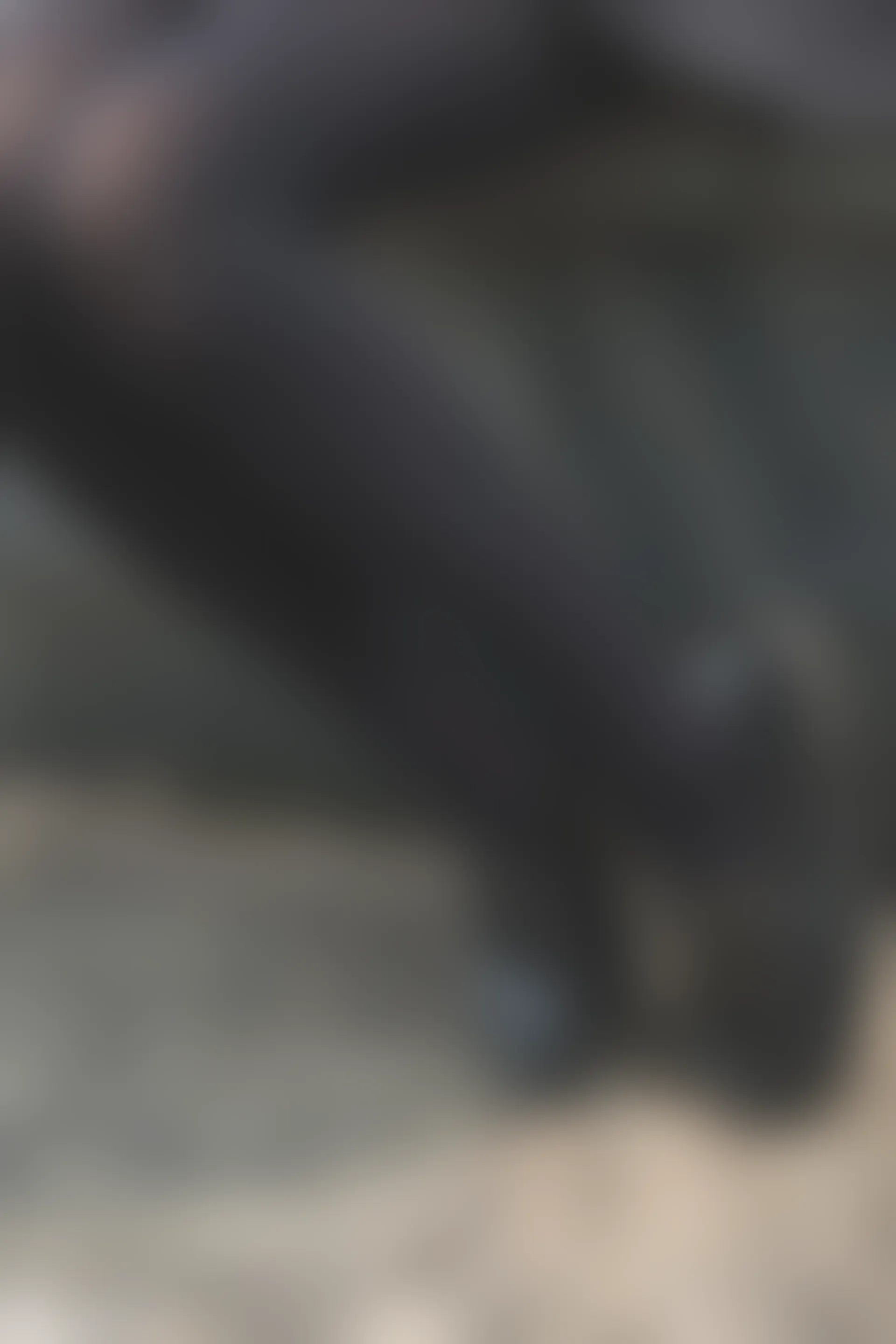 C14.005 黑色系小细腿 [40P-86MB]