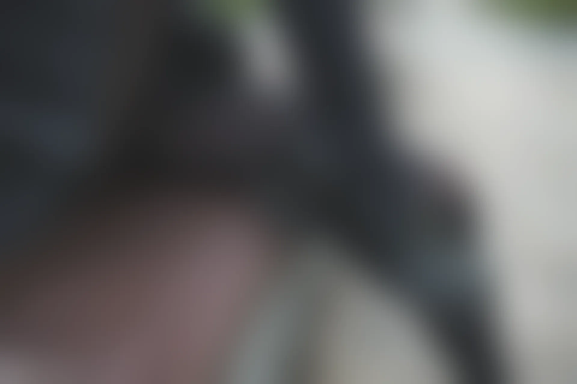 C14.005 黑色系小细腿 [40P-86MB]
