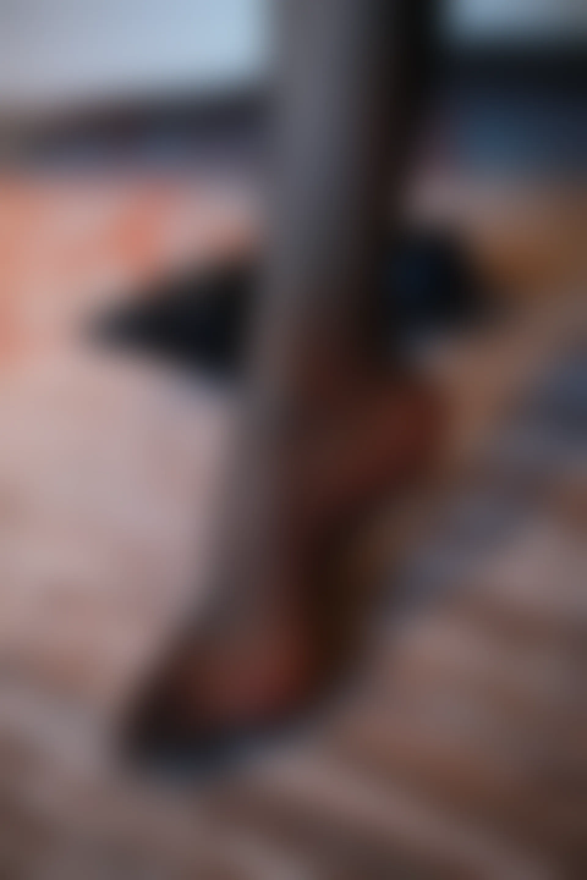 XiuRen秀人网 2021.12.13 No.4329 坏兔子 HU 黑丝美腿[57+1P 530MB]