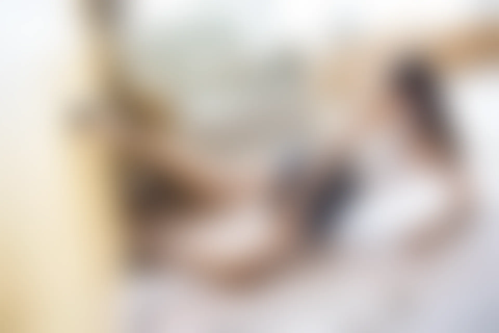 XiuRen秀人网 2019.08.22 No.1637 芝芝Booty [100+1P]