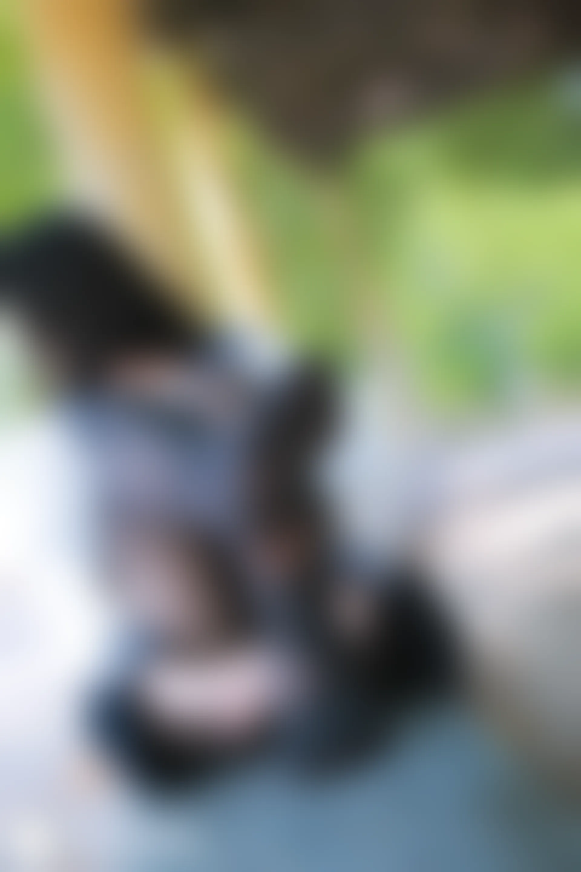 C36.001 初秋的校园 [40P-384MB]