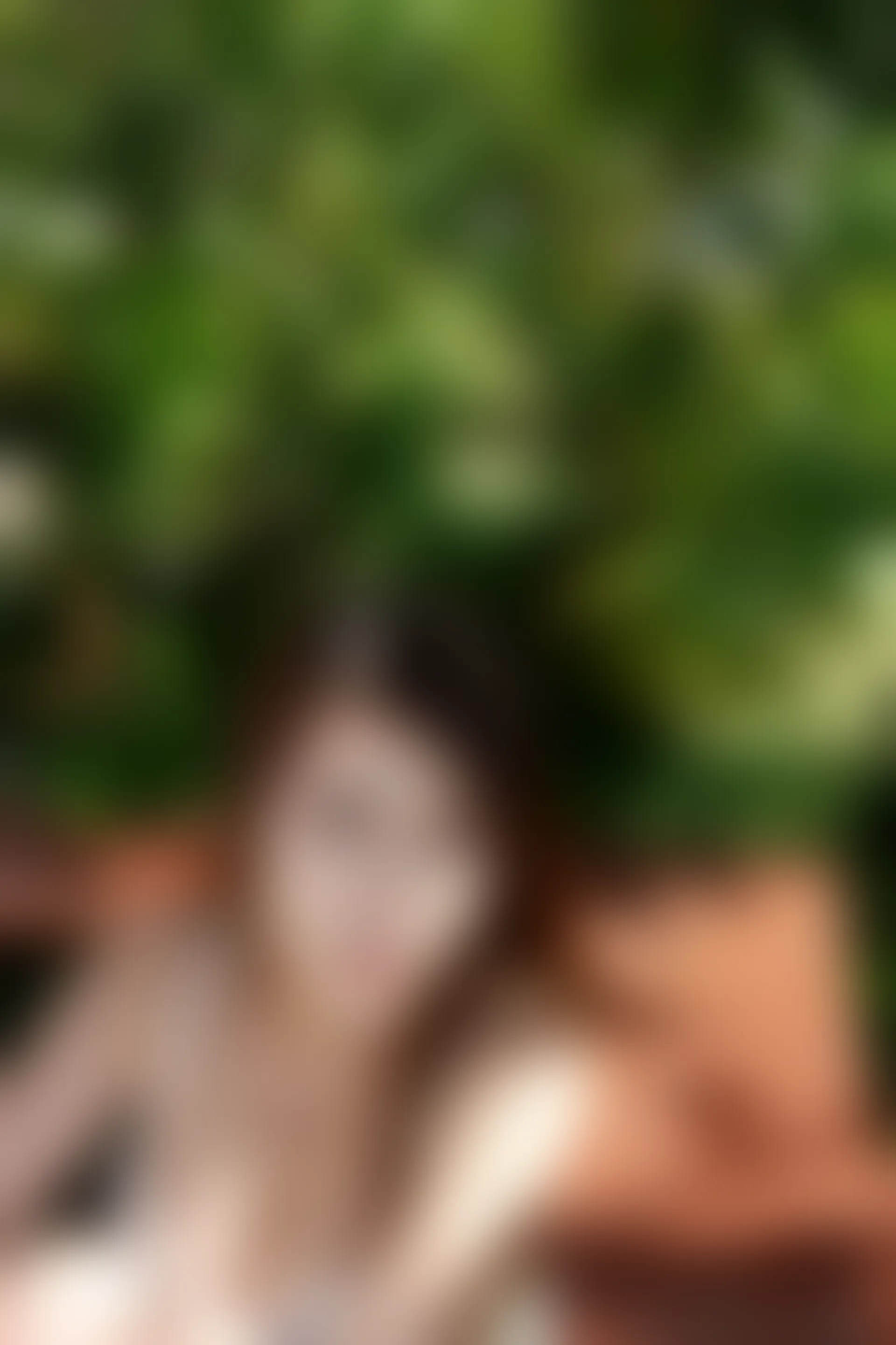 XiuRen秀人网 2015.02.03 No.292 Vetiver嘉宝贝儿 [50P213MB]