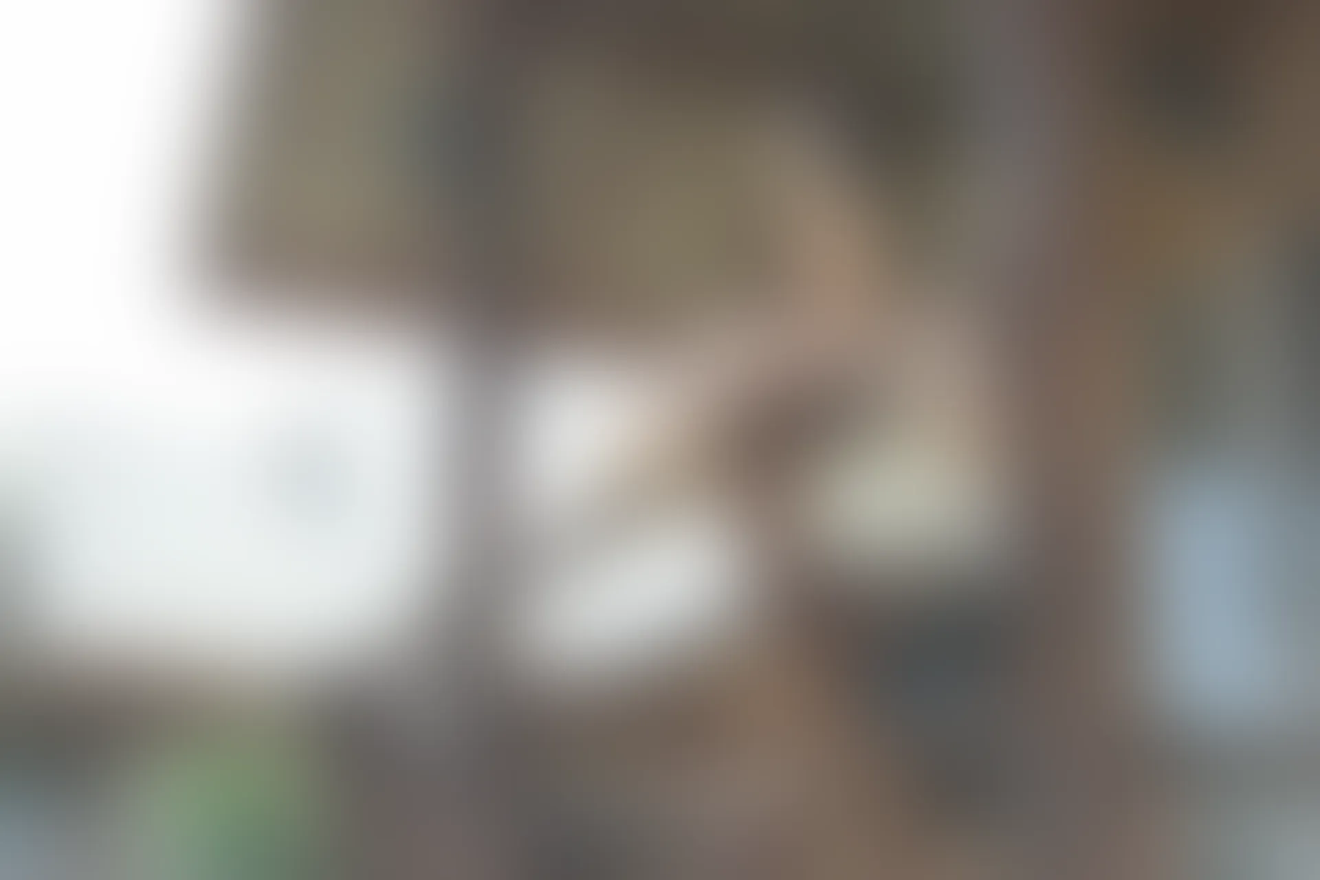 XiuRen秀人网 2015.02.03 No.292 Vetiver嘉宝贝儿 [50P213MB]
