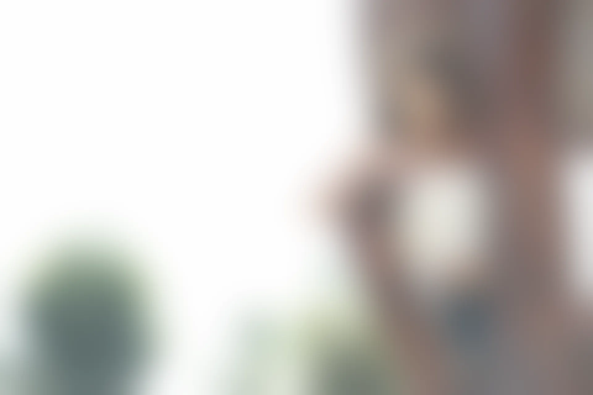 XiuRen秀人网 2015.02.03 No.292 Vetiver嘉宝贝儿 [50P213MB]