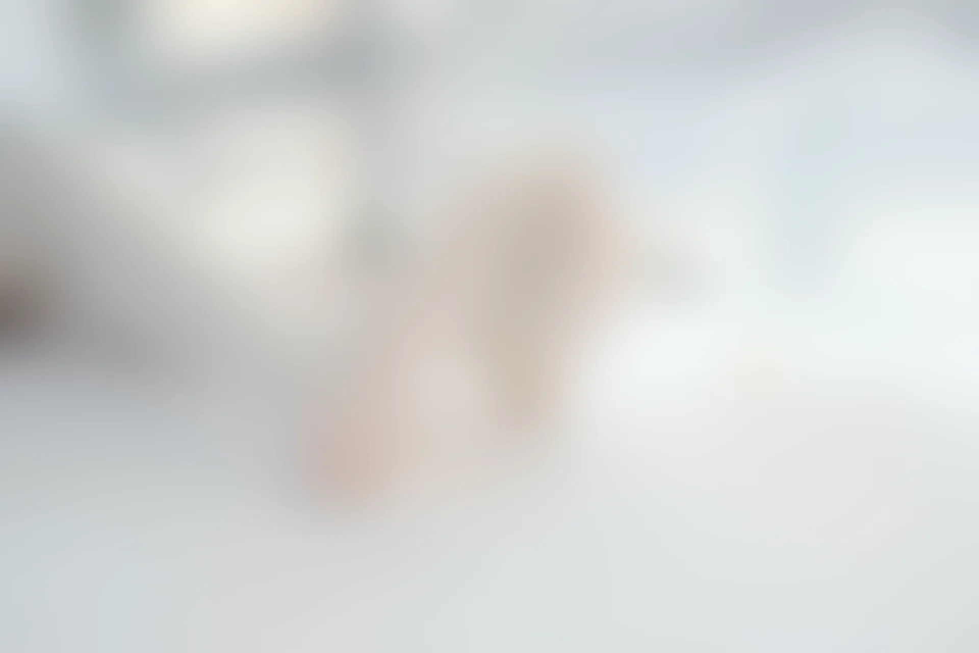 森萝财团 R15-028 [96P-444M]可爱, 学生装, 森萝财团, 美腿