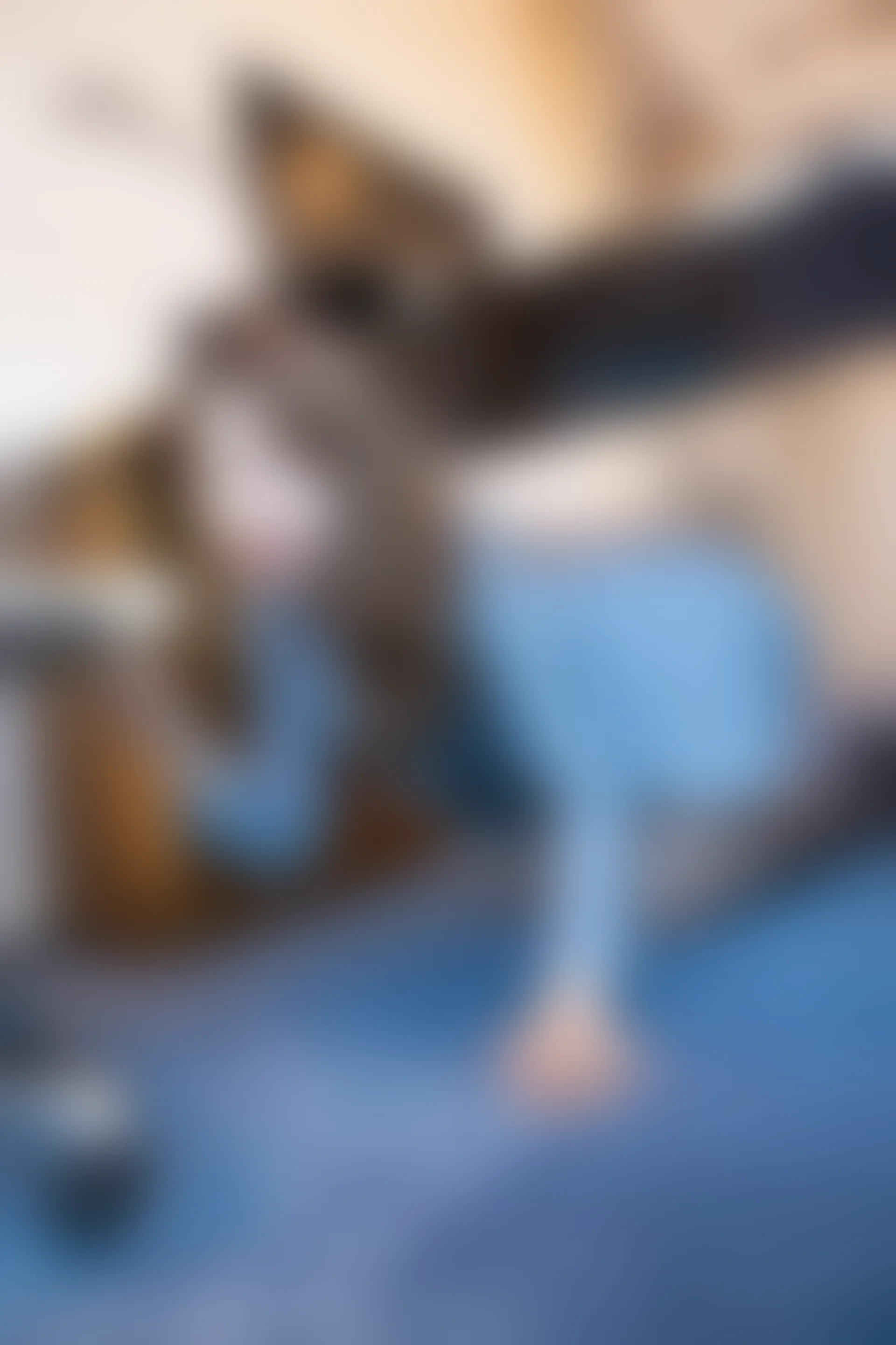 XiuRen秀人网 2021.10.26 No.4117 张欣欣[83+1P／821MB]