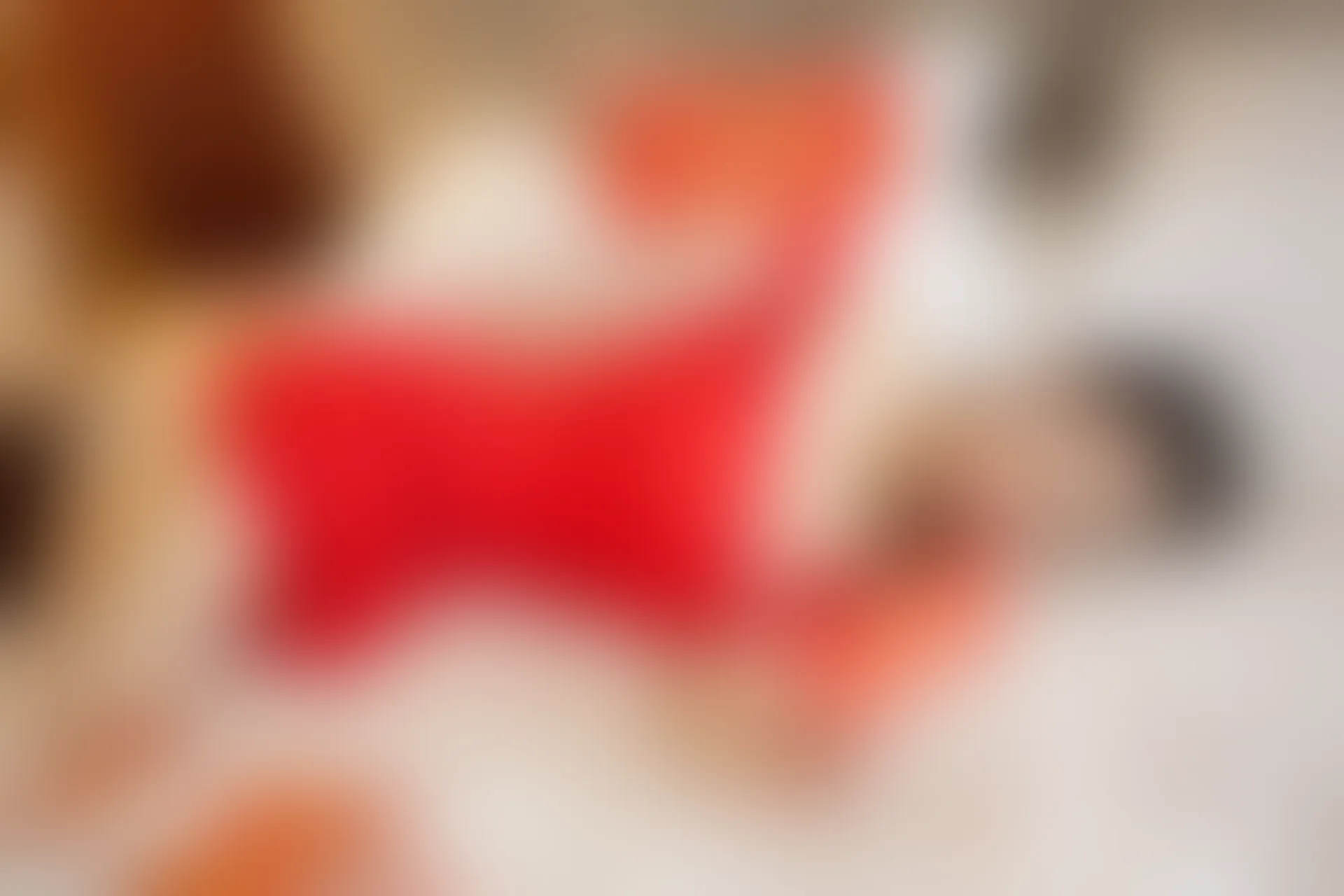 XiuRen秀人网 2014.01.31 No.096 nancy小姿