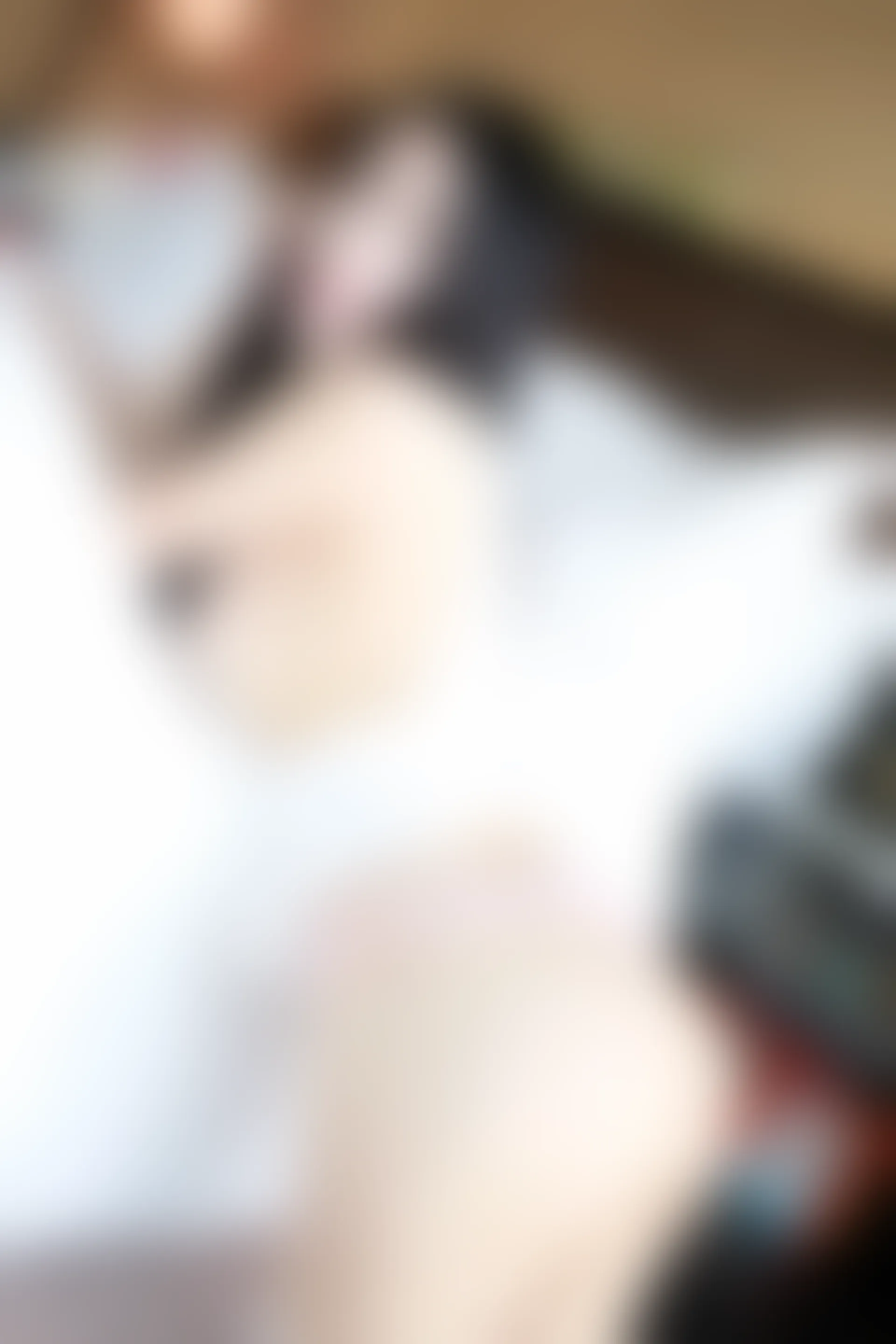 XiuRen秀人网 2016.05.16 No.525 谢芷馨Sindy [50P-211M]