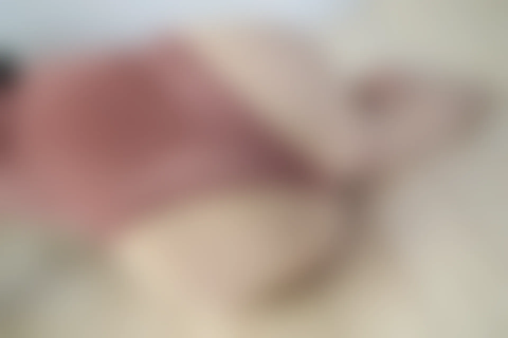 森萝财团 X-060 [101P1V-2.37G]森萝财团, 美腿, 美足, 肉丝