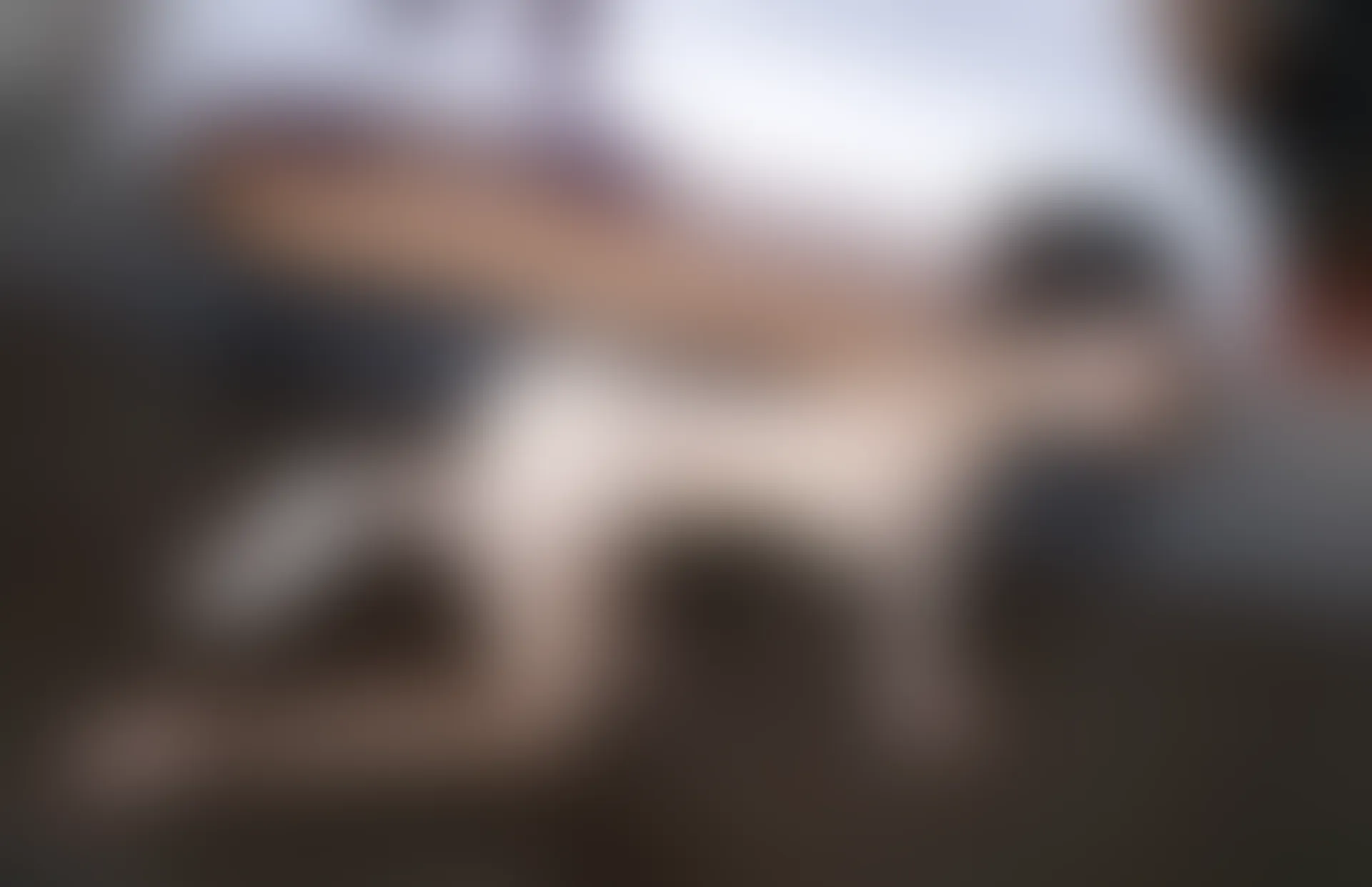 XIUREN秀人网 2023.09.01 NO.7324 鱼子酱Fish[81+1P／652MB]