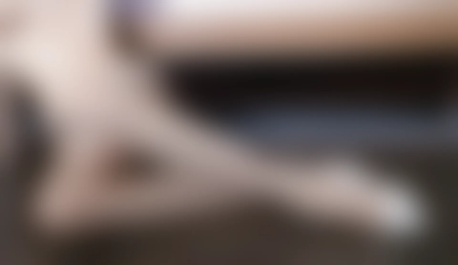 XIUREN秀人网 2023.09.01 NO.7324 鱼子酱Fish[81+1P／652MB]